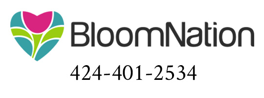Bloom Nation Logo
