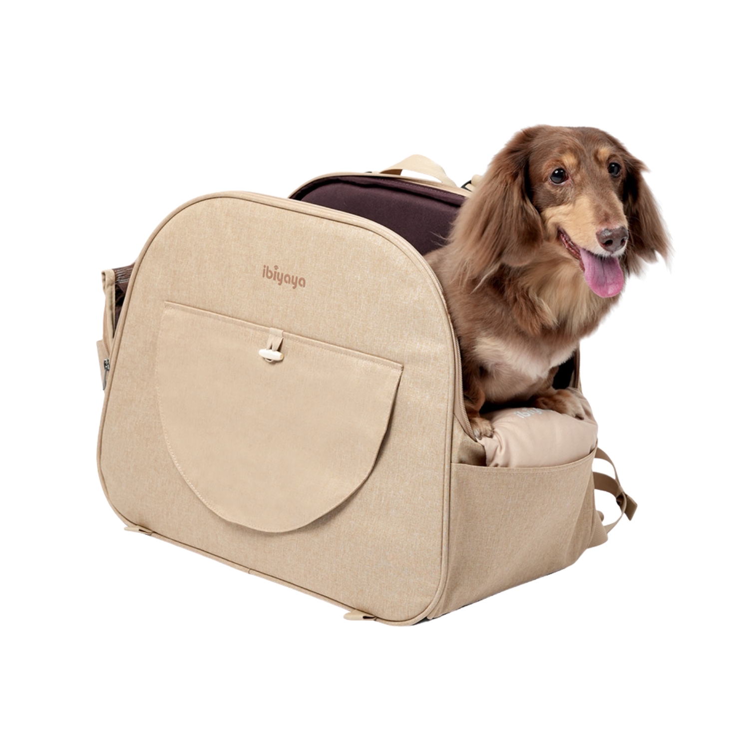 Long-haired Dachshund in a beige pet carrier bag.