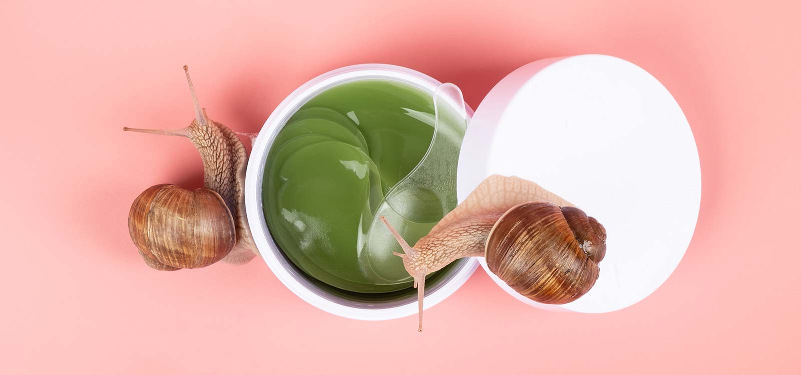 Snail Slime in Skincare: What are the benefits of snail mucin for the skin?