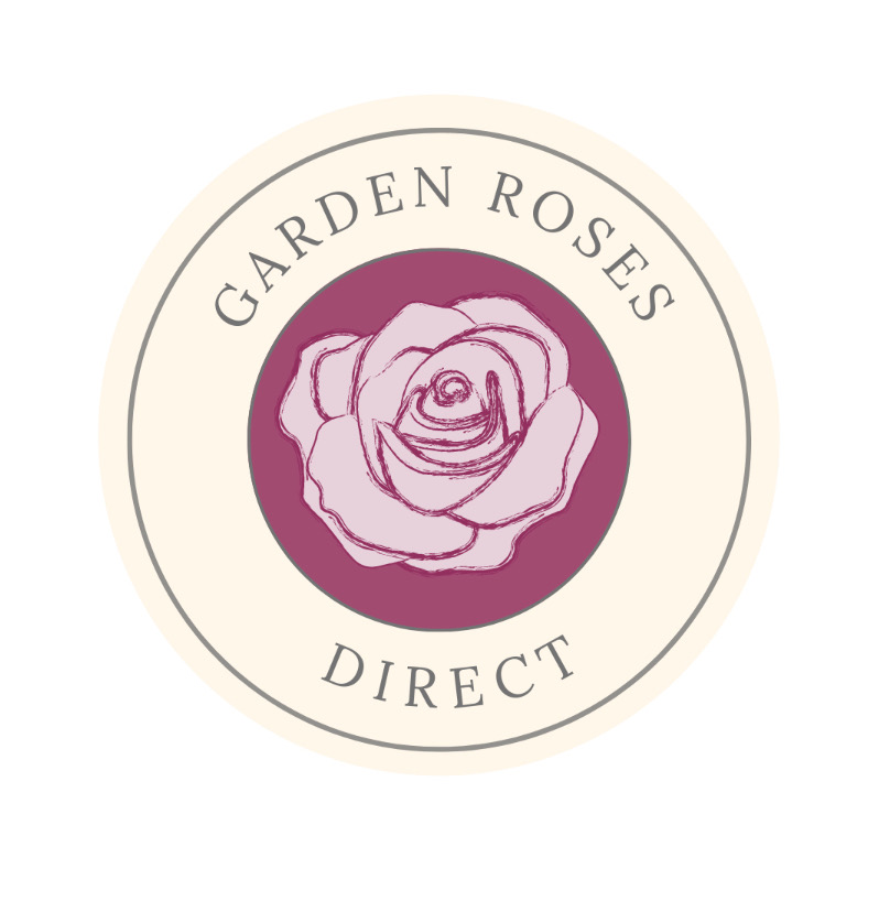 Click here for more information on our sponsor - Garden Roses Direct
