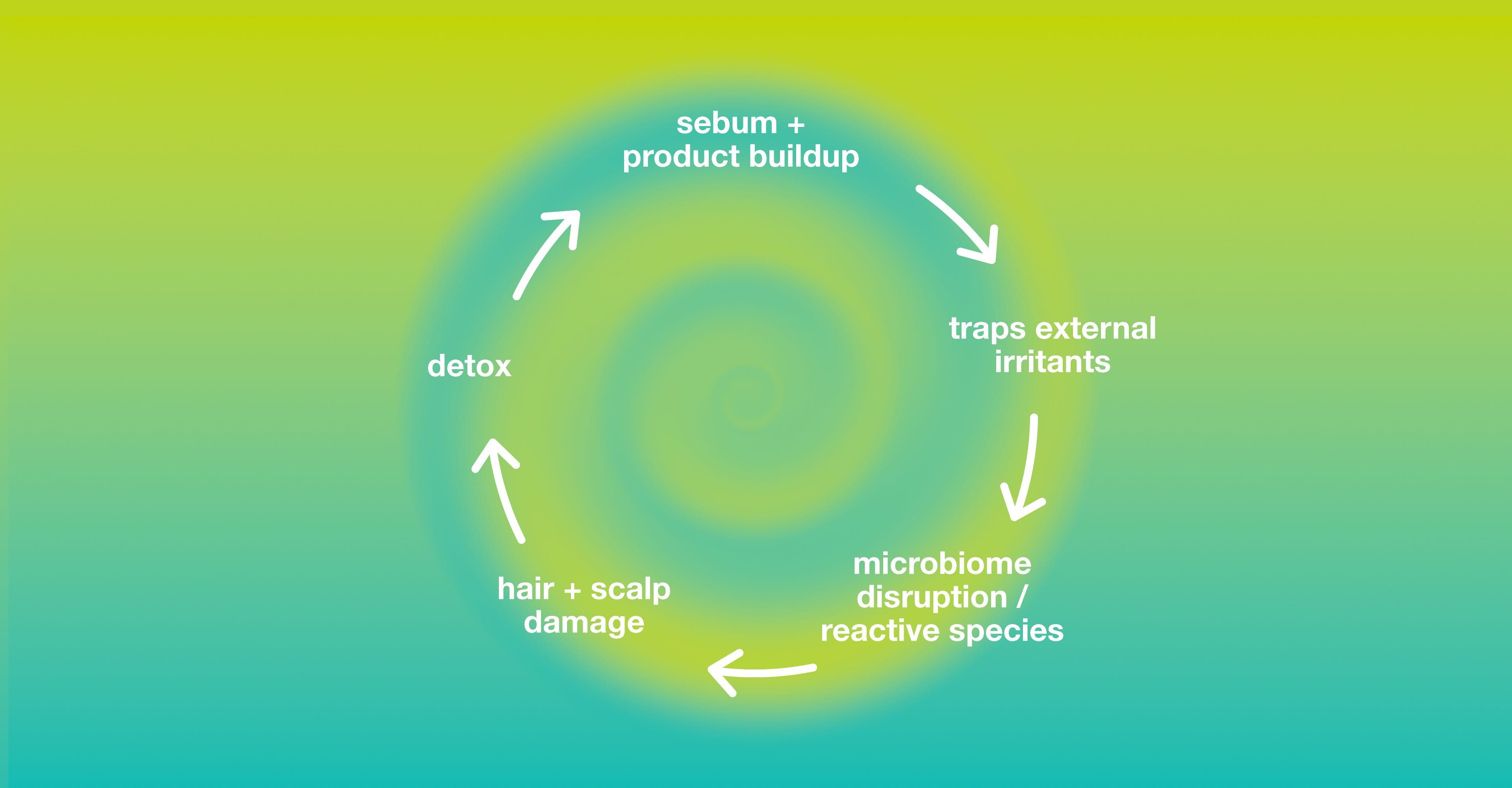 Science Class 10: Dirty hair is a sticky trap