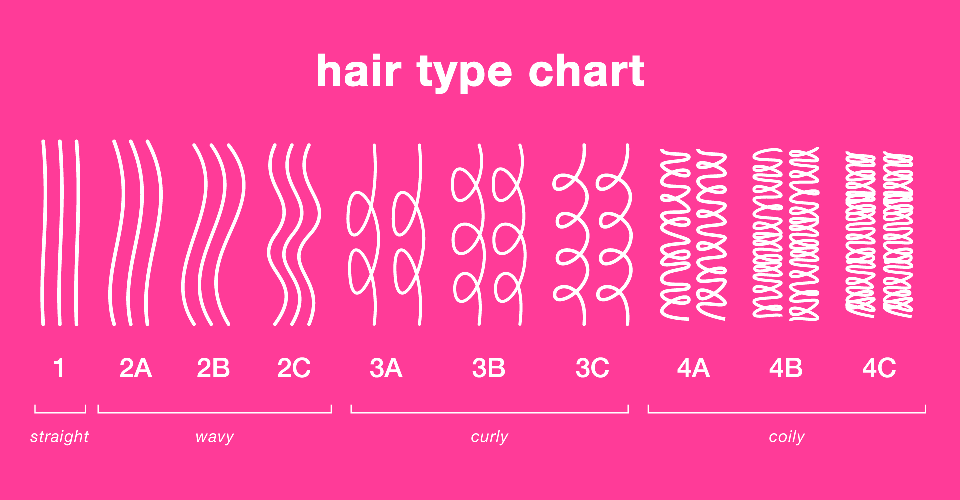 We C You 04: Curl types