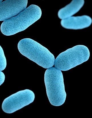 Blaue Mikrobiome auf schwarzem Hintergrund.