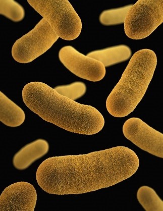 Blaue Mikrobiome auf gelbem Hintergrund.