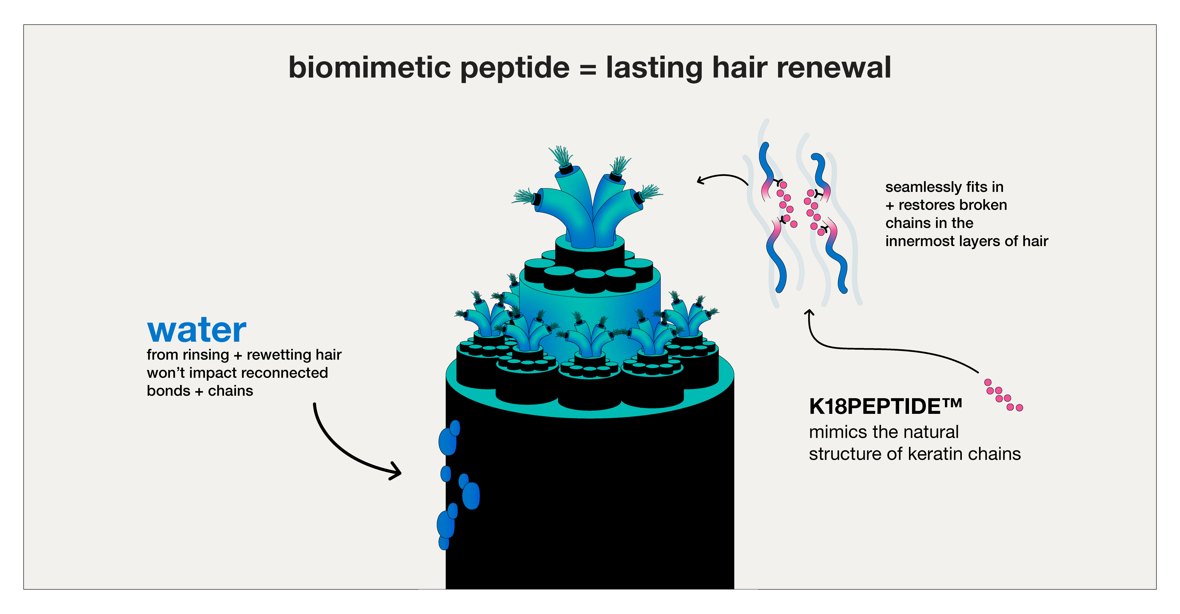 K18 FUNdamentals 17: Next-level hair renewal? it’s biomimetic