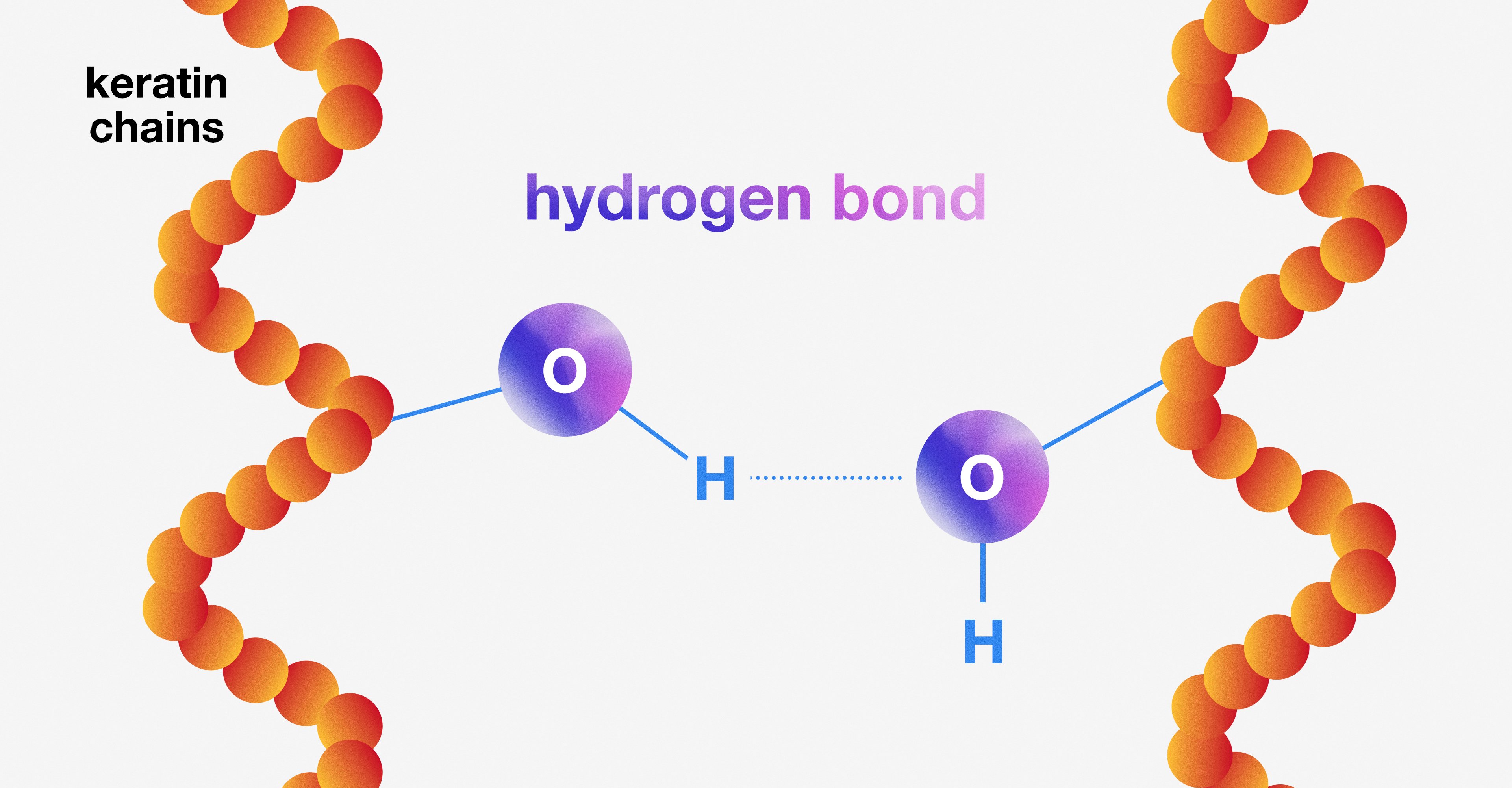 Science Class 13: Bonds + holistic hair health