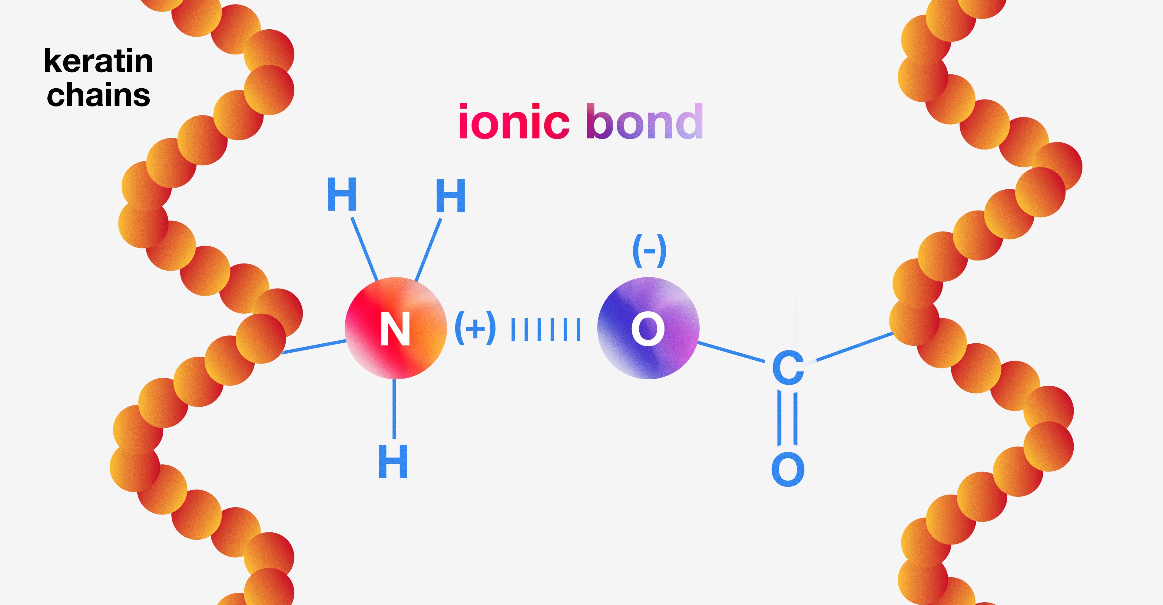 Science Class 13: Bonds + holistic hair health