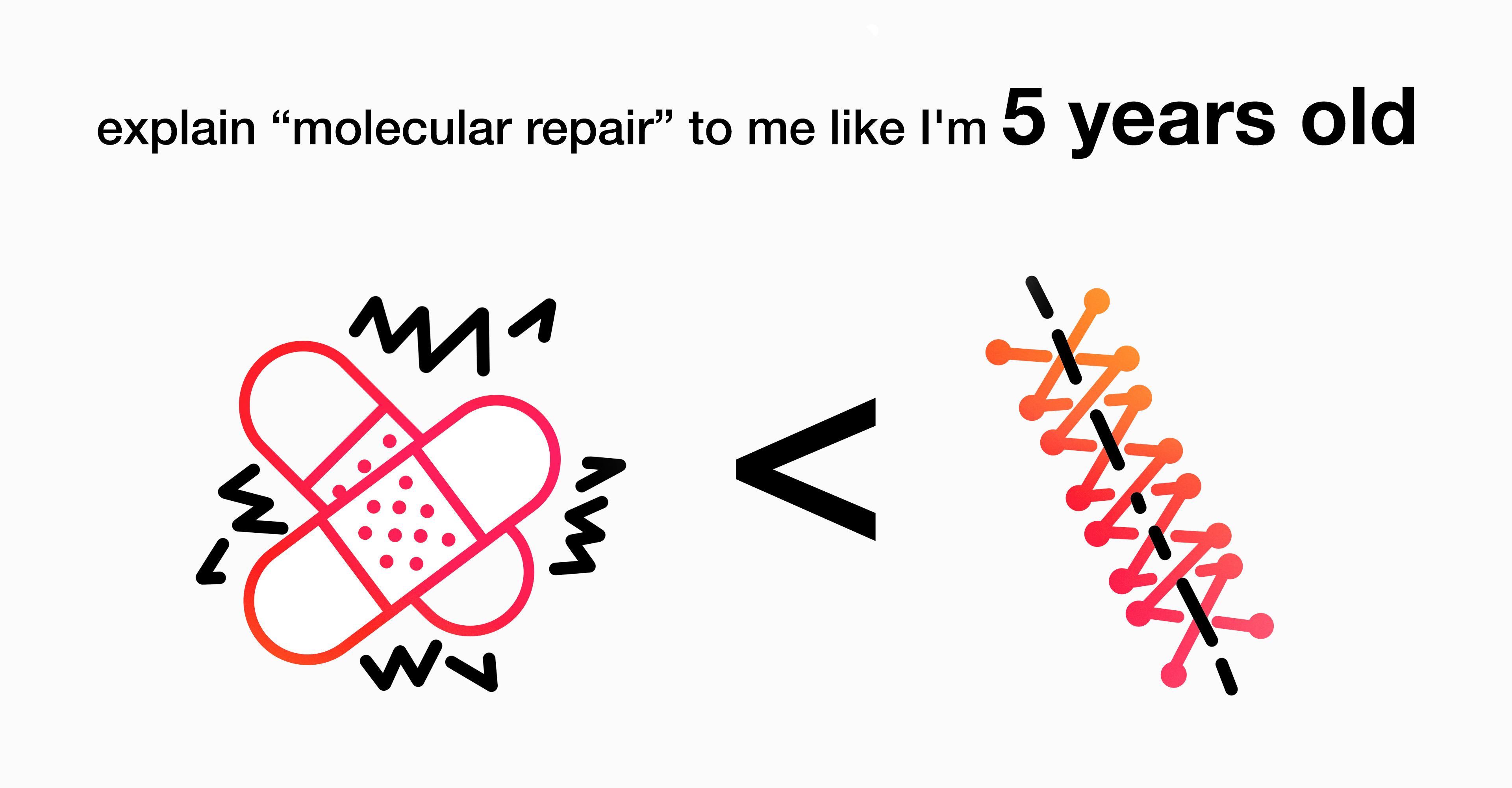 FUNdamentals 27: What does molecular repair mean?
