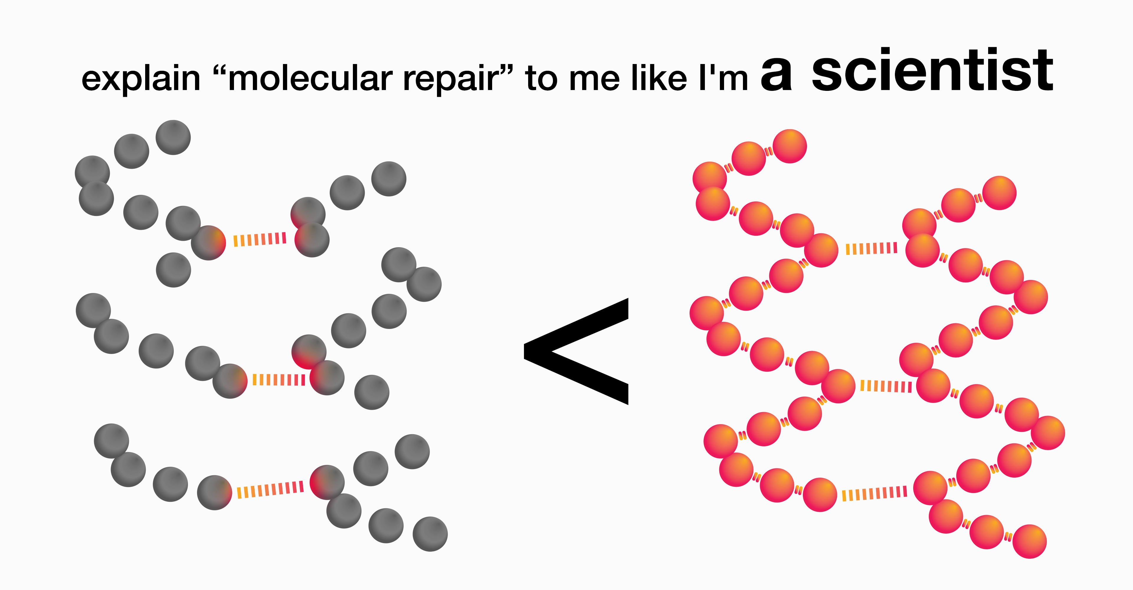 FUNdamentals 27: What does molecular repair mean?