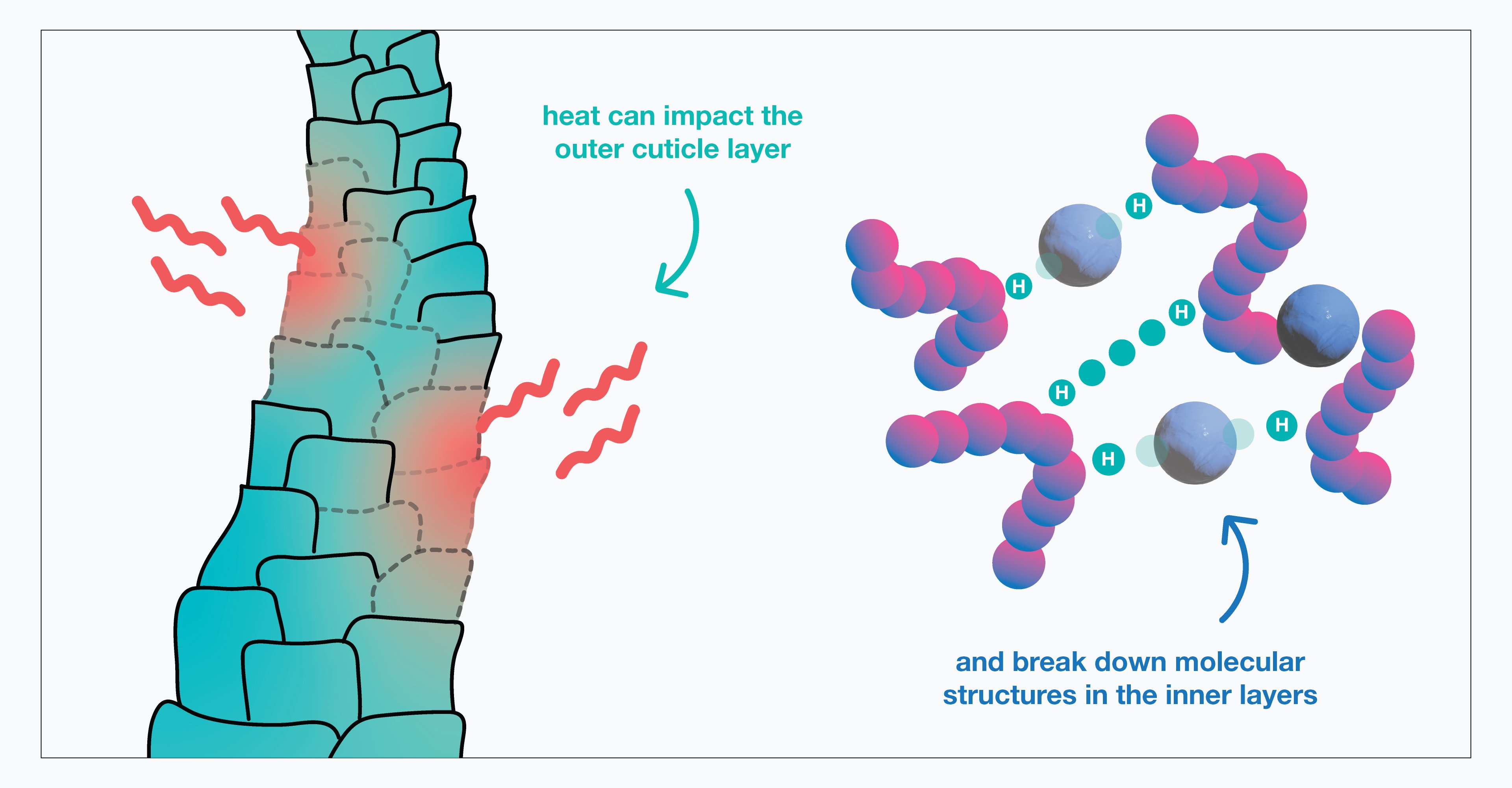 Science Class 14: Different types of damage