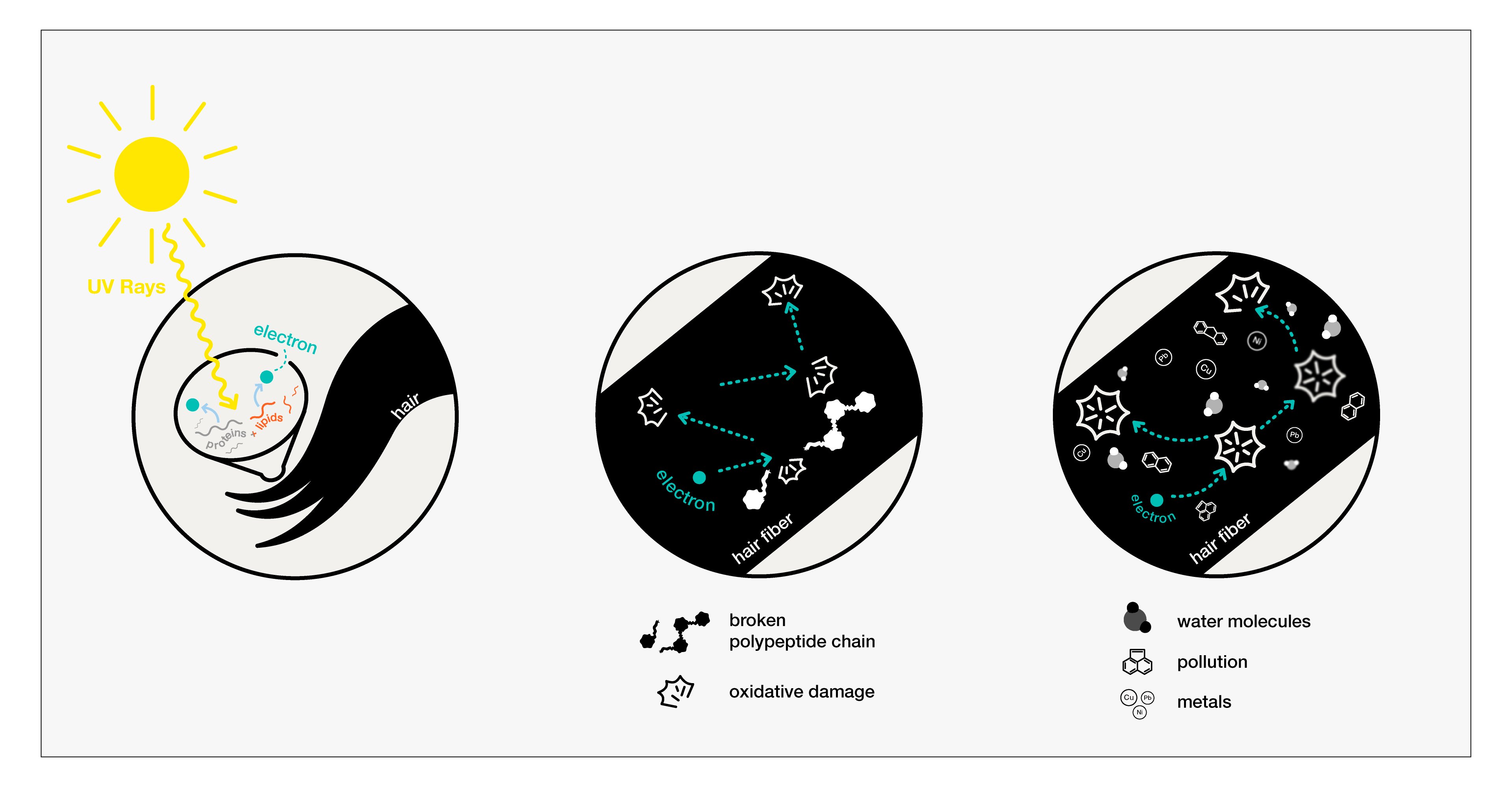 Science Class 14: Different types of damage