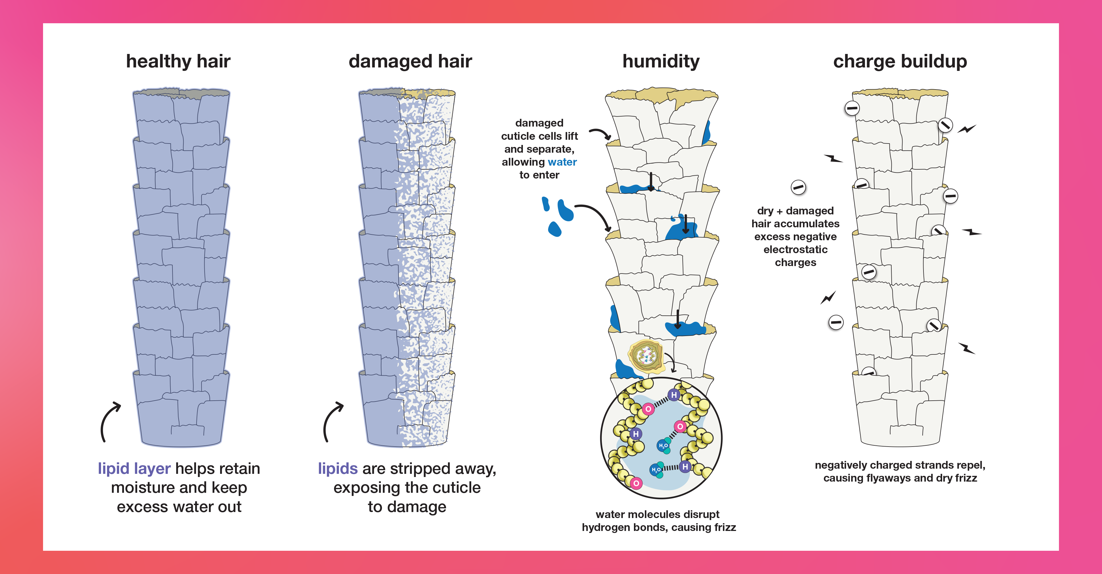 We C You 14: Frizz vs. curls, what’s the difference?