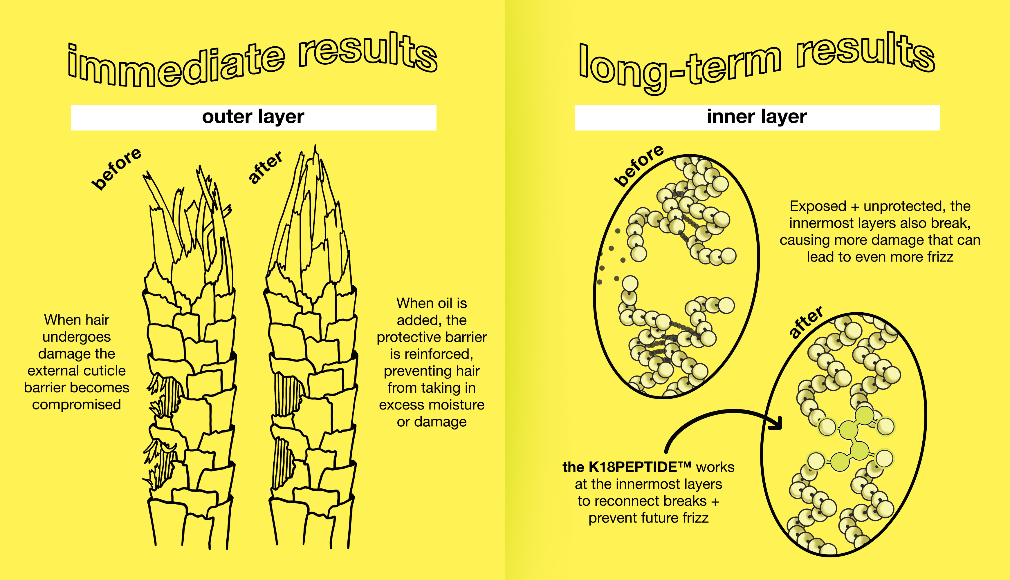 FUNdamentals 35: What’s immediate vs. long-term haircare?