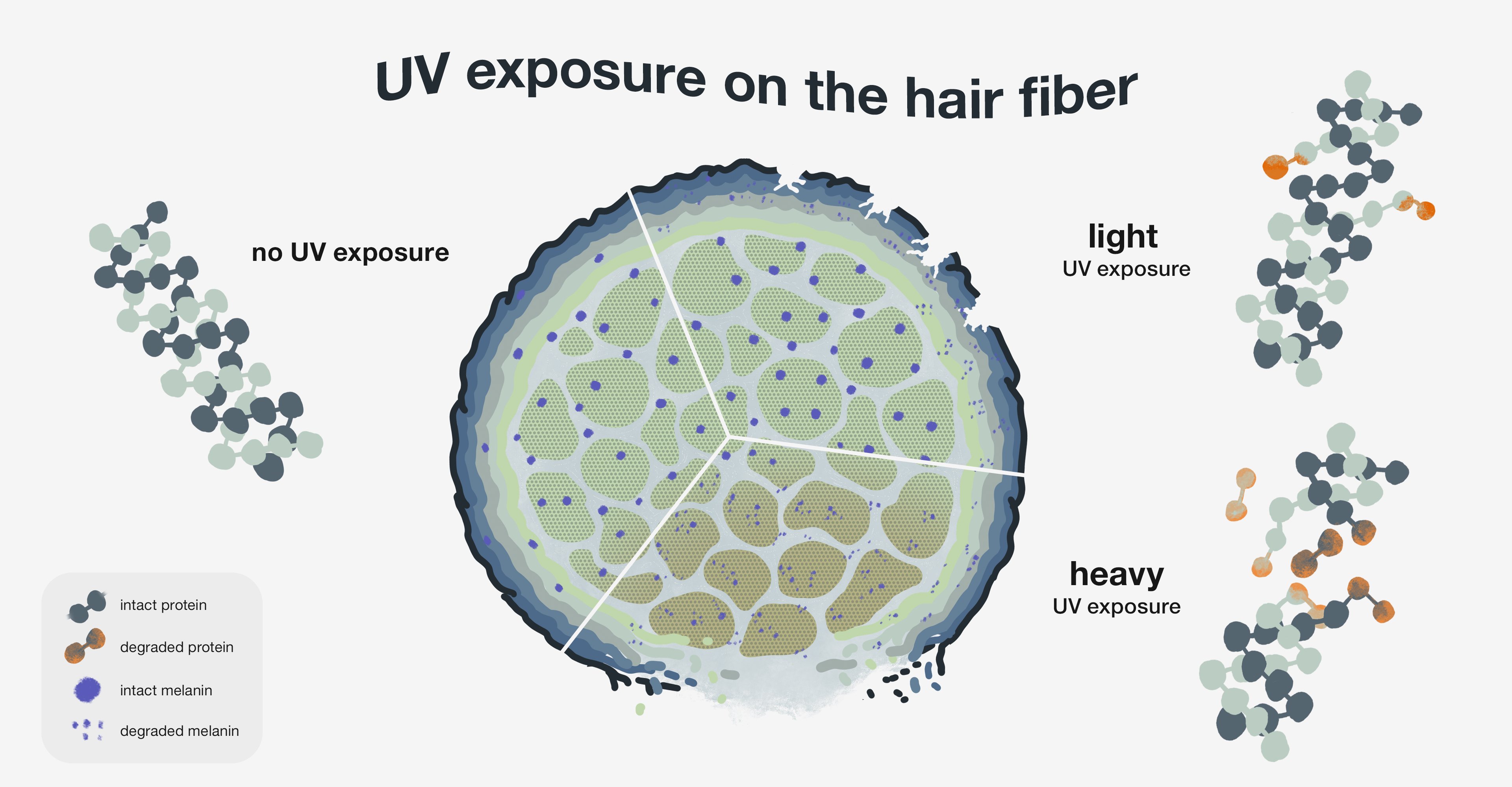 Science Class 18: The science behind UV damage