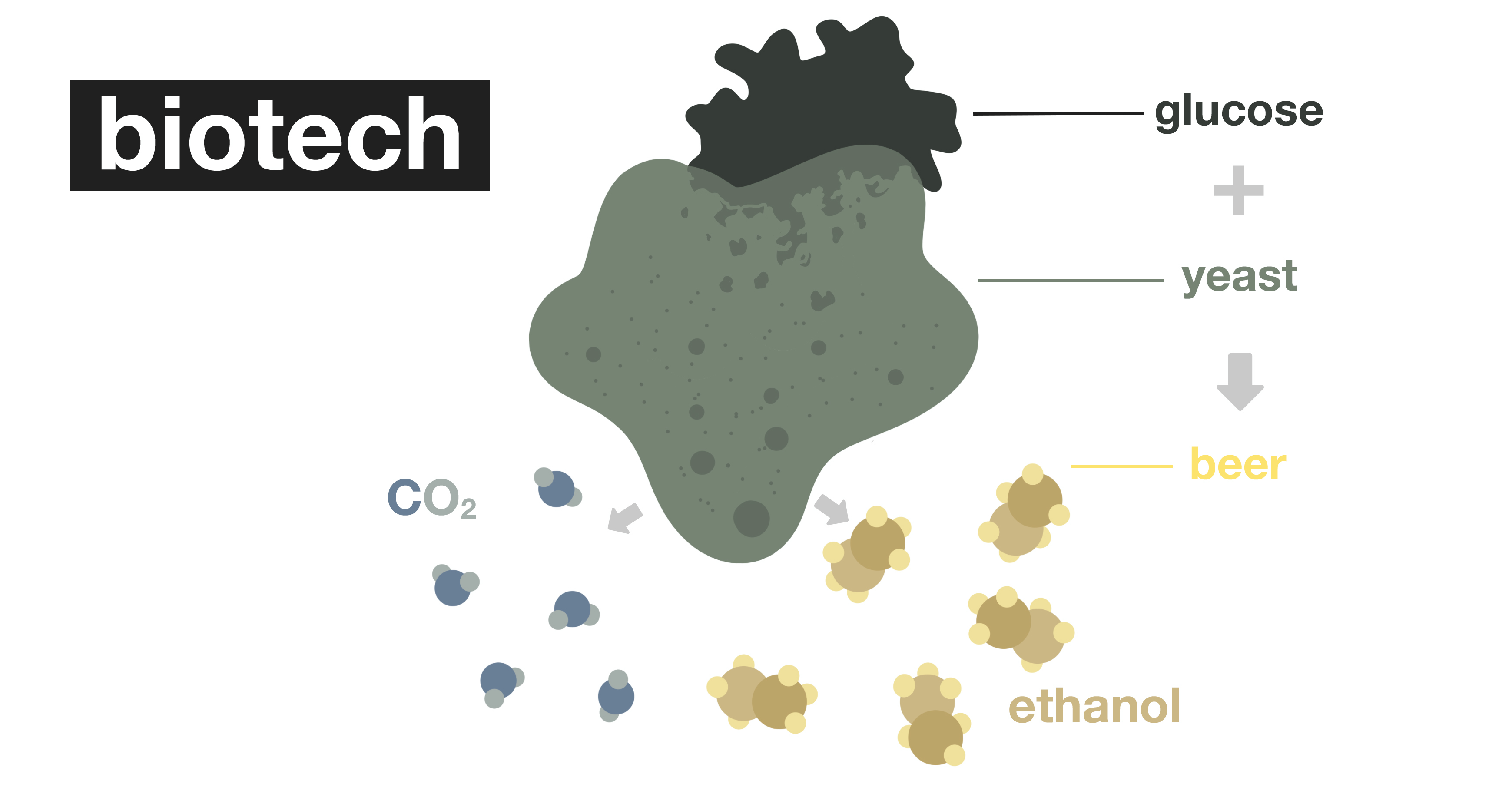 The Difference Between Biotech, Biomimetics, and Synthetic Biology