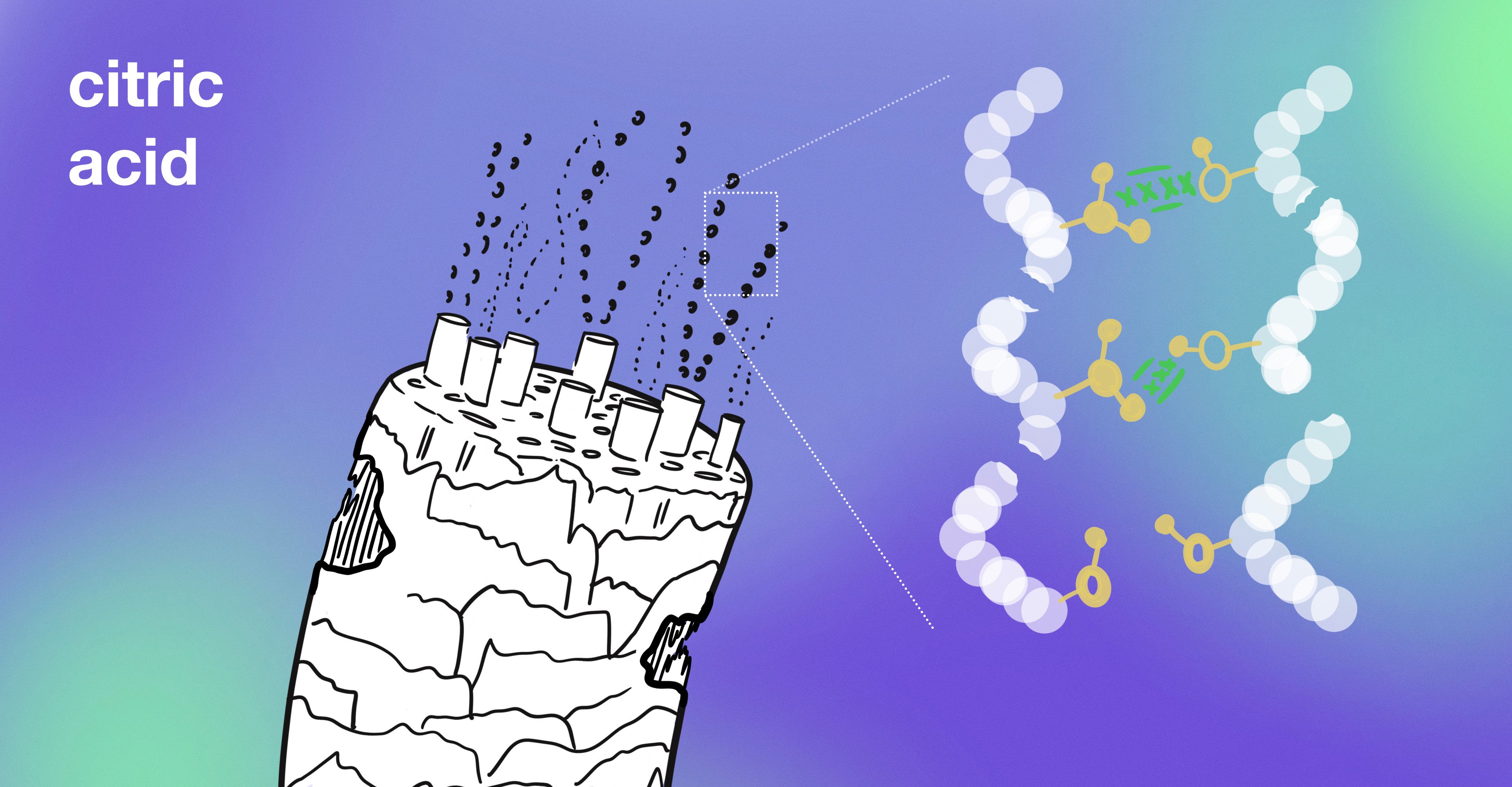 SCIENTIFIC IMAGE OF CITRIC ACID