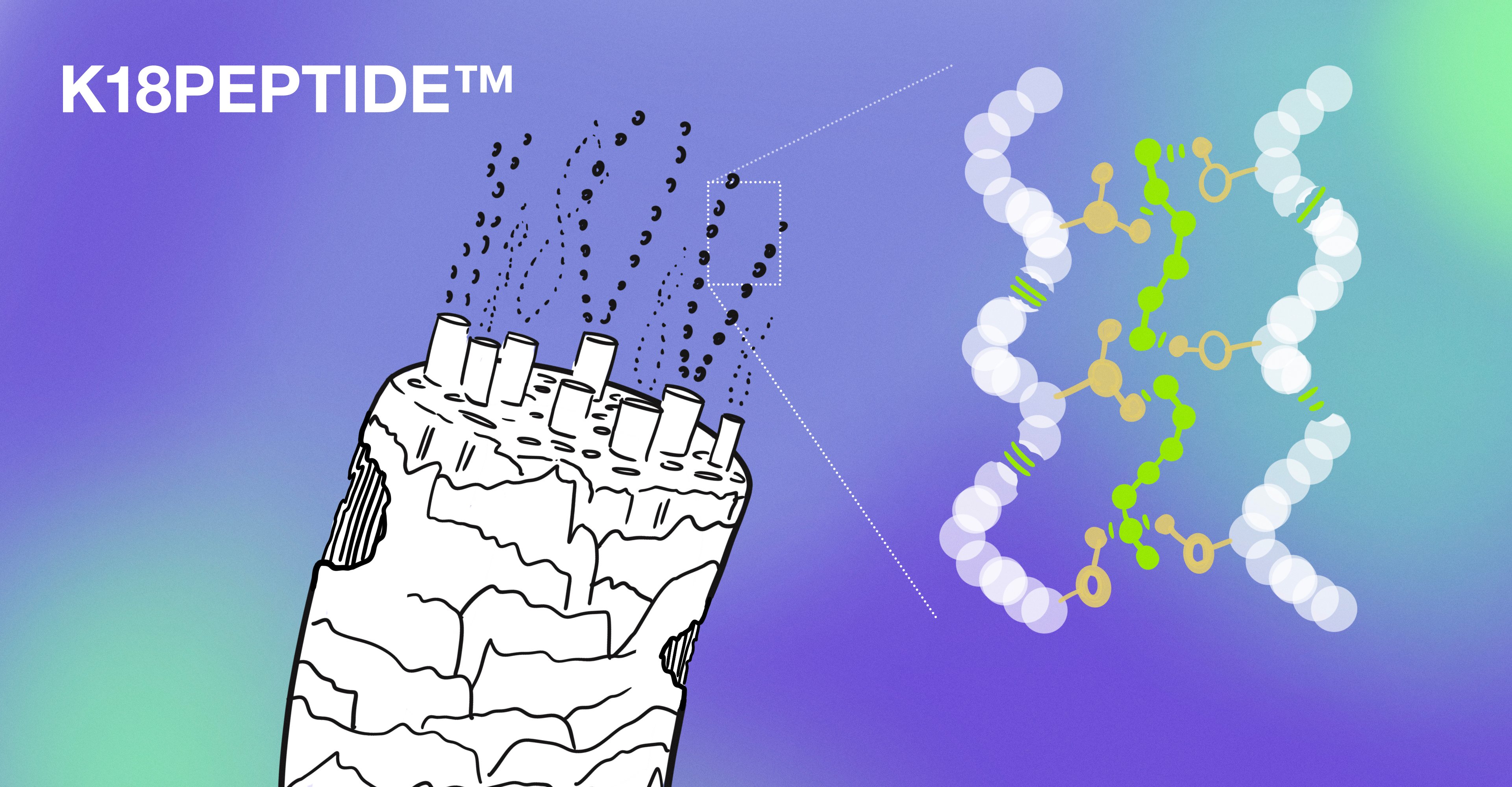SCIENTIFIC IMAGE OF K18 MOLECULAR REPAIR