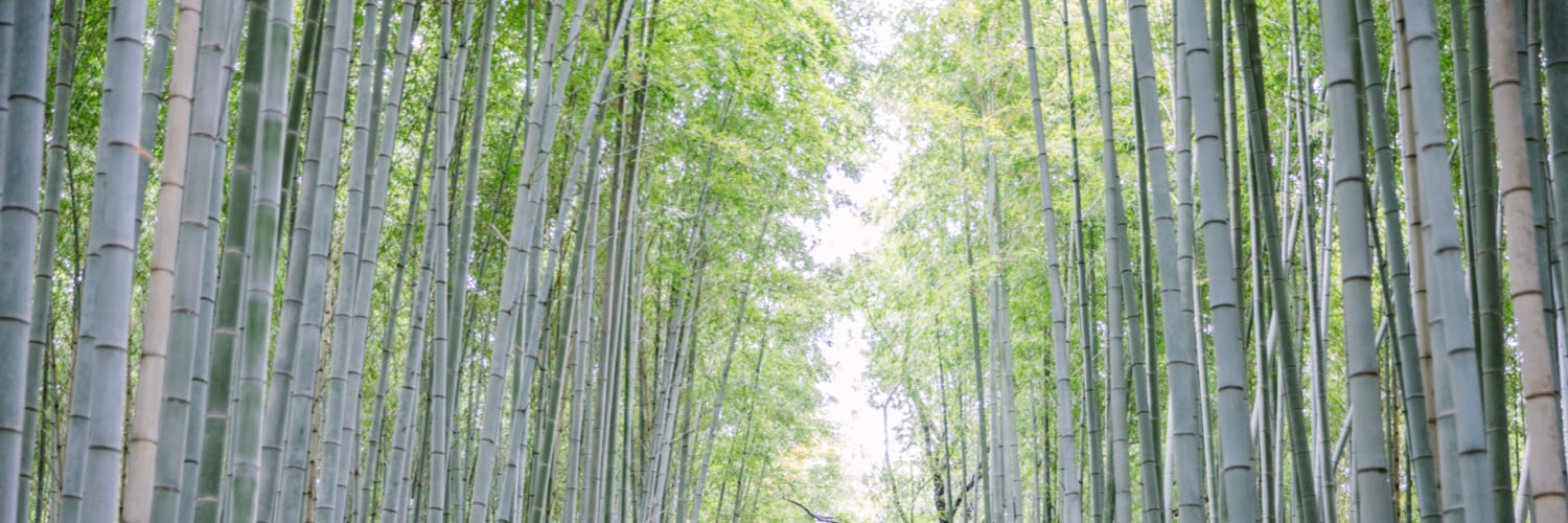 The Kyoto Guide The Citizenry