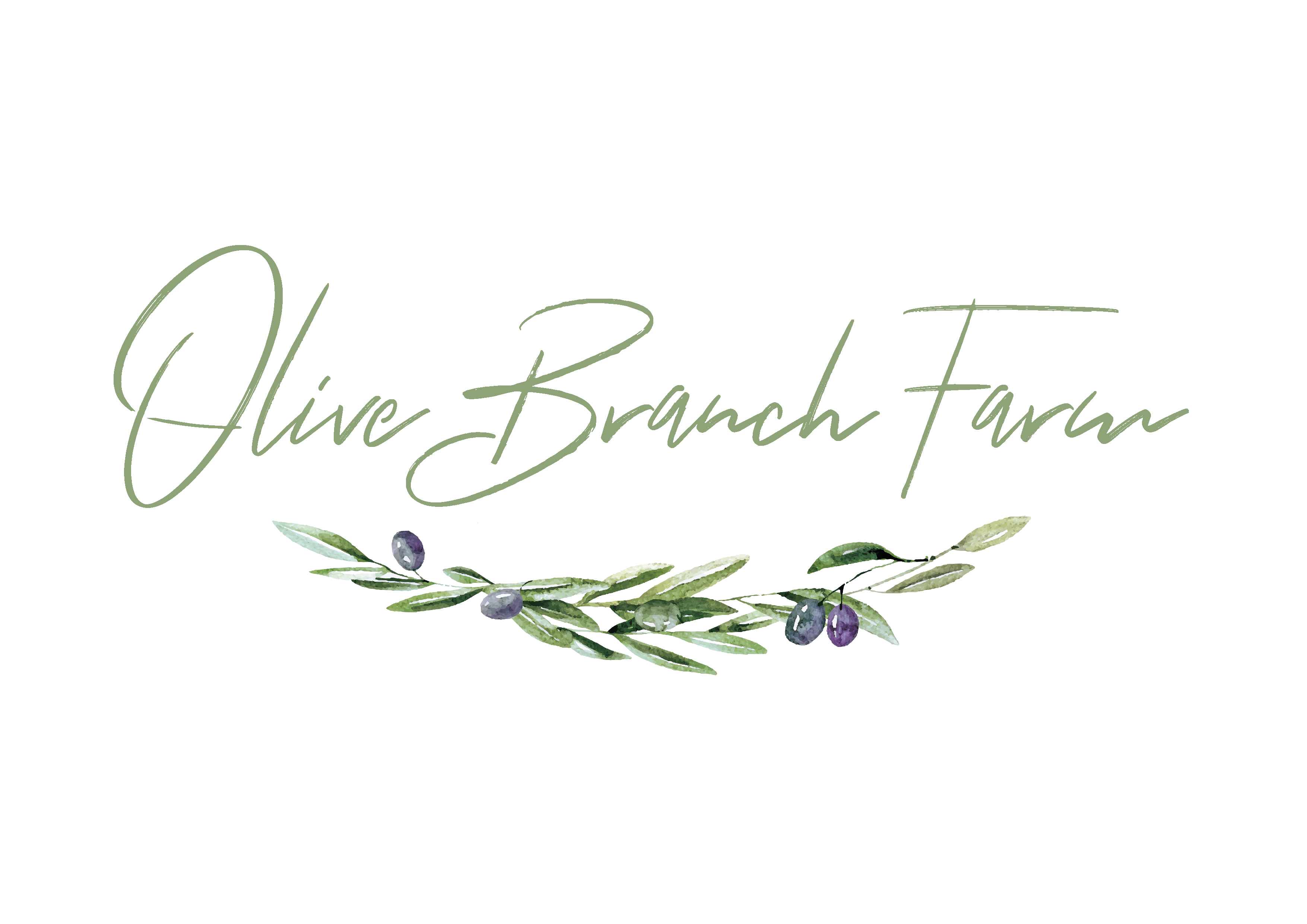 Click here for more information on our sponsor - Olive Branch Farm