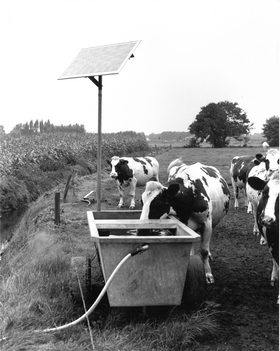 Solar pumping livestock watering