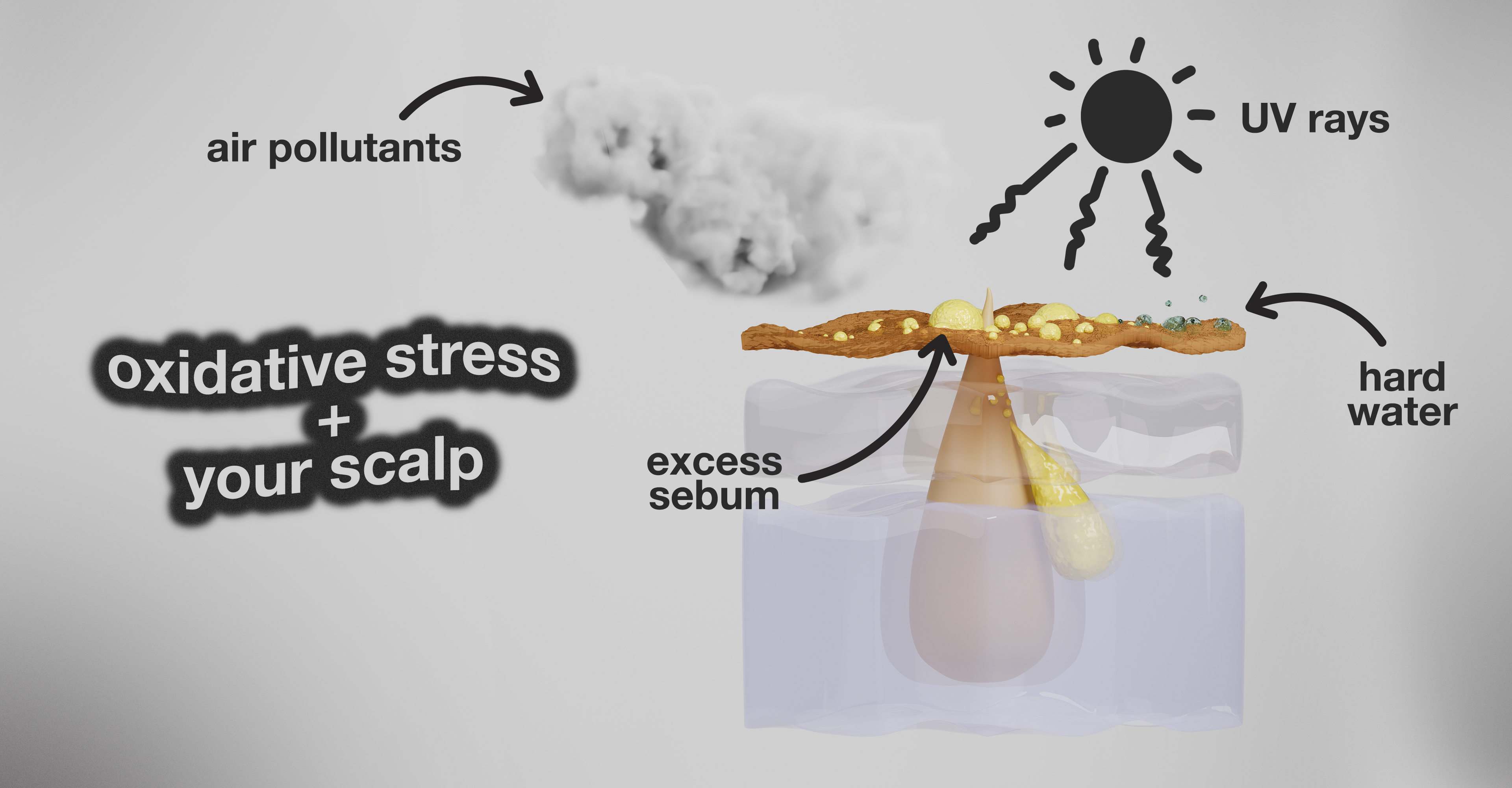 SCALP BEING EXPOSTED TO UV RAYS, AIR POLLUTION, HARD WATER CAUSING SCALP CONDITIONS LIKE DANDRUFF, PREMATURE GREYING AND HAIR LOSS