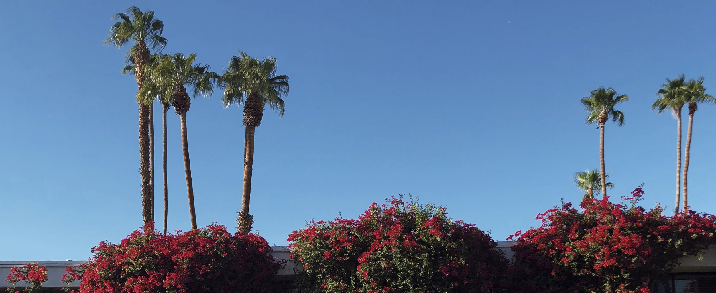 Coordinates: Palm Springs