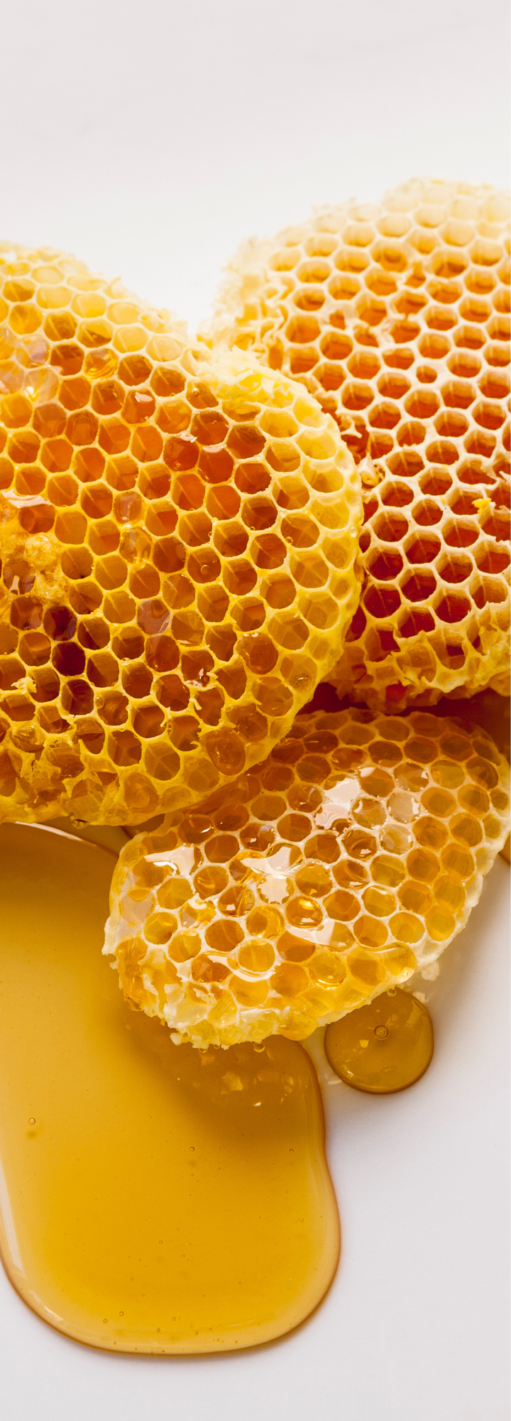 The Different Types of Honey