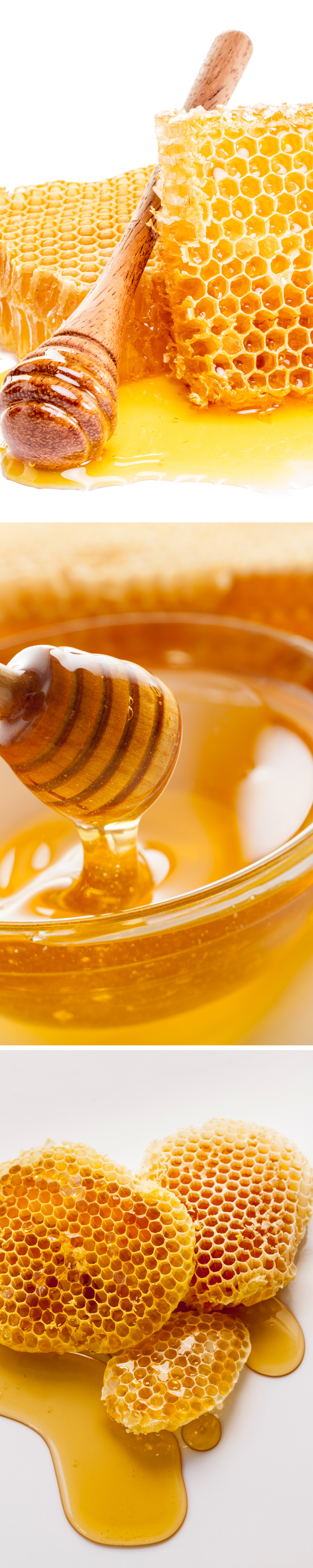 the different types of honey