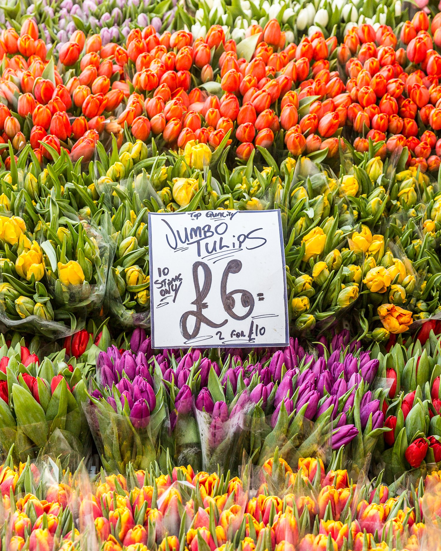 Columbia Road Flower Market