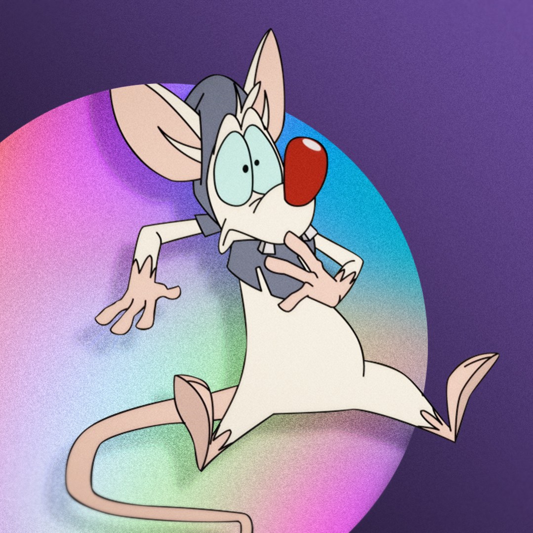 Pinky of Pinky and the Brain, voiced by Rob Paulsen