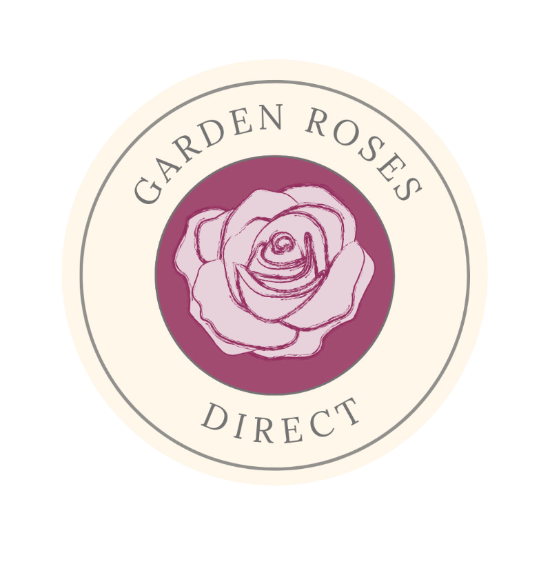 Click here for more information on our sponsor - Garden Roses Direct