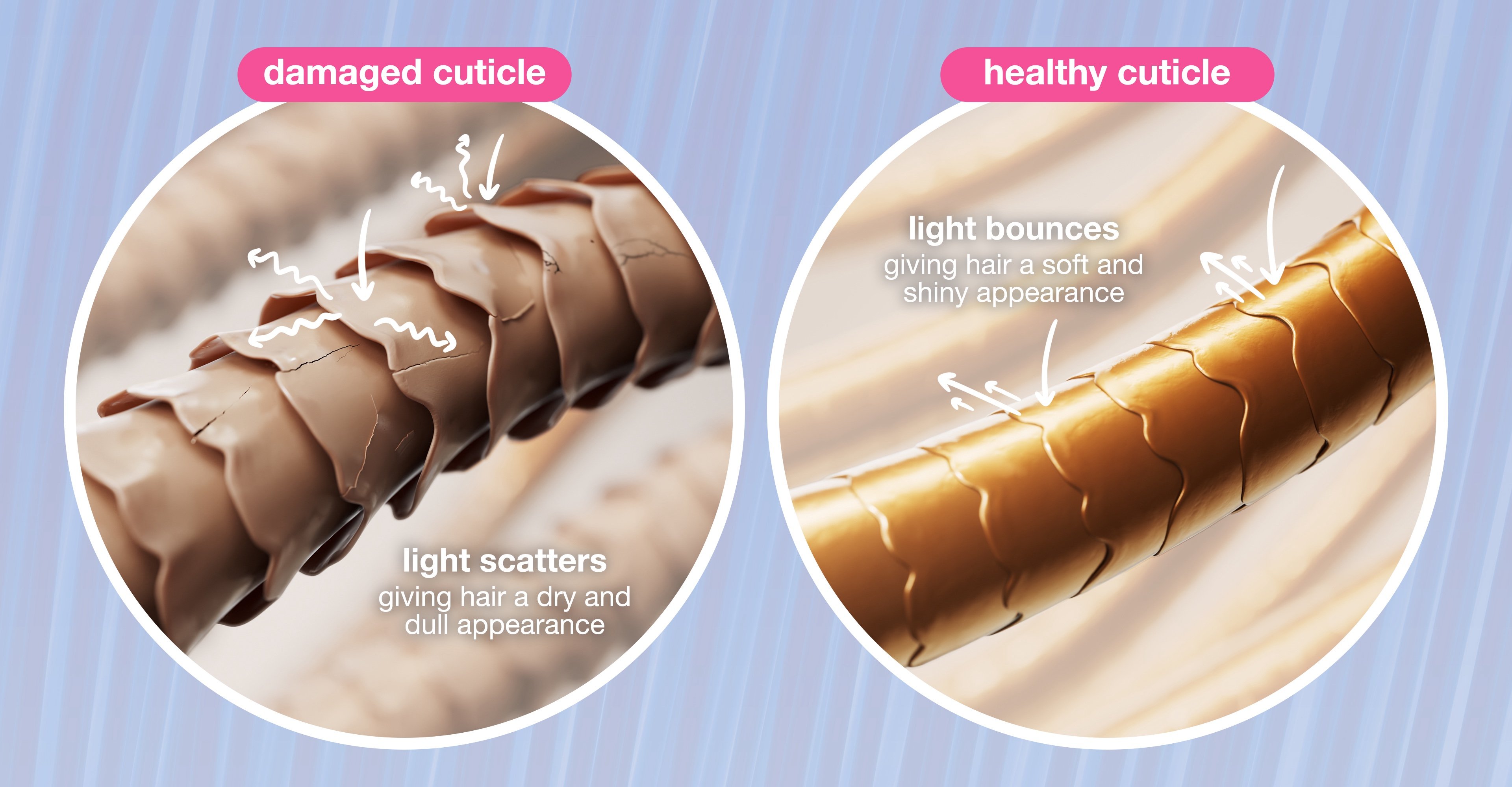 DAMAGED CUTICLE VS HEALTHY CUTICLE