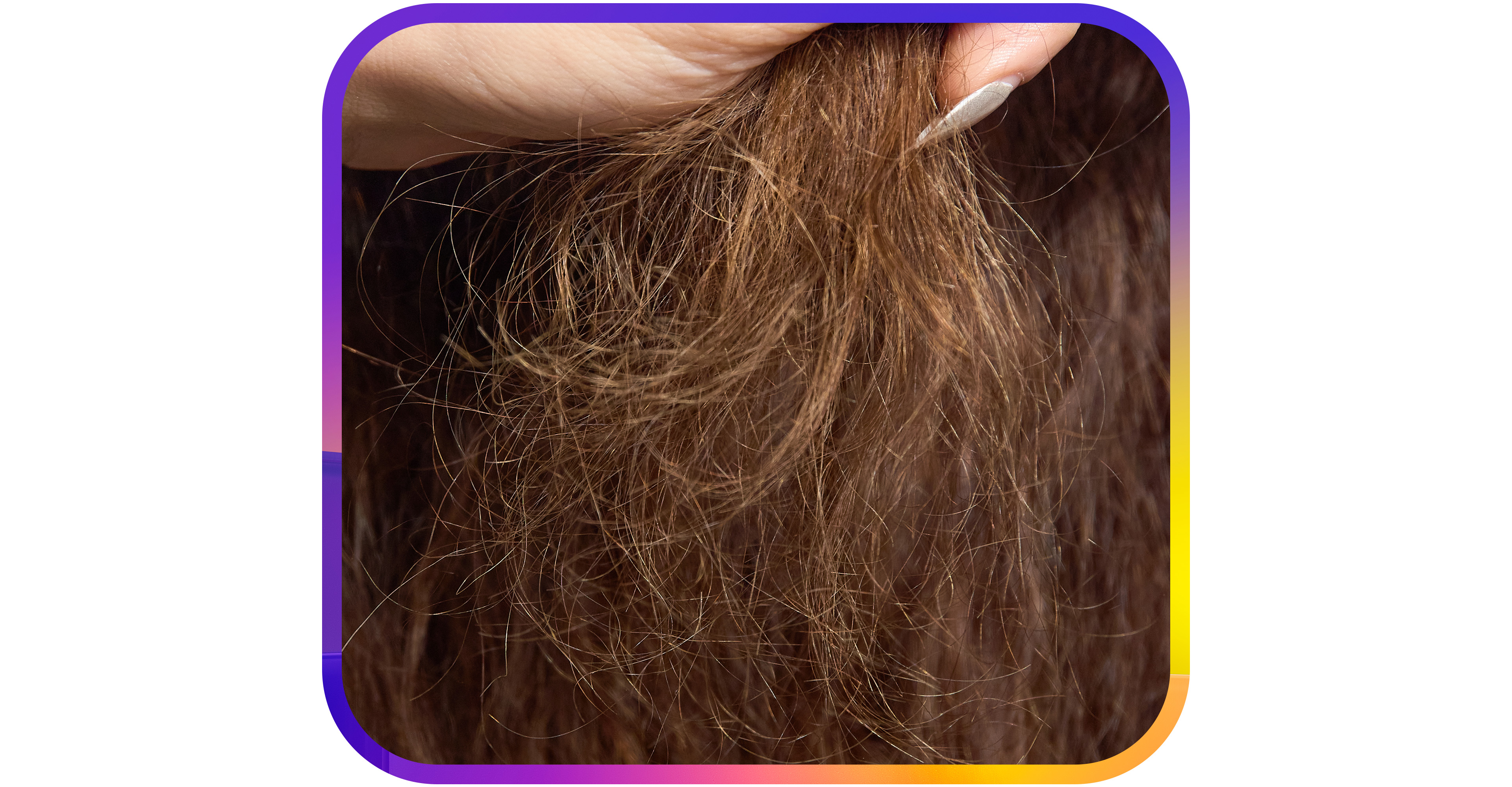 IMAGE: zoomed in view of hair fibers bending around one another and knotting