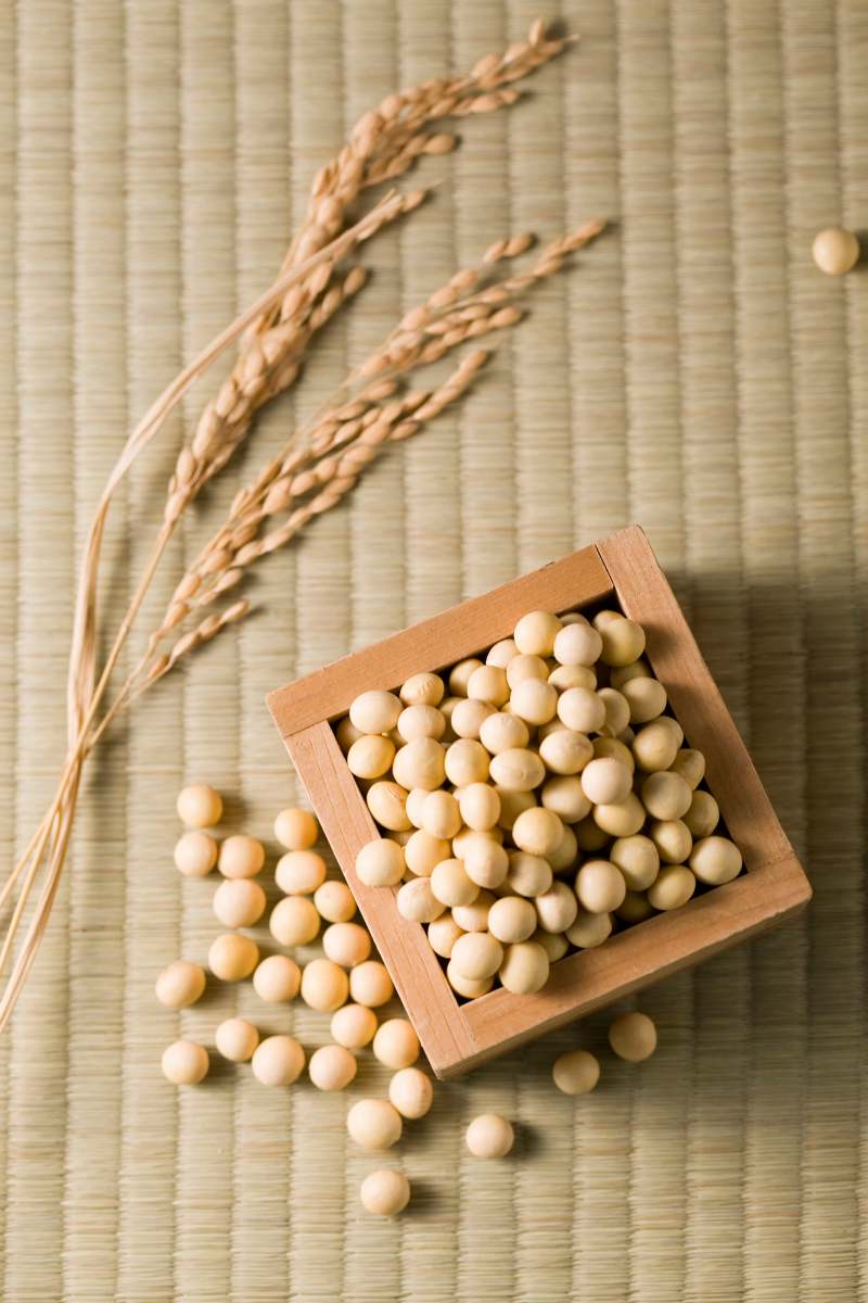 ARE SOY FOODS HEALTHY?