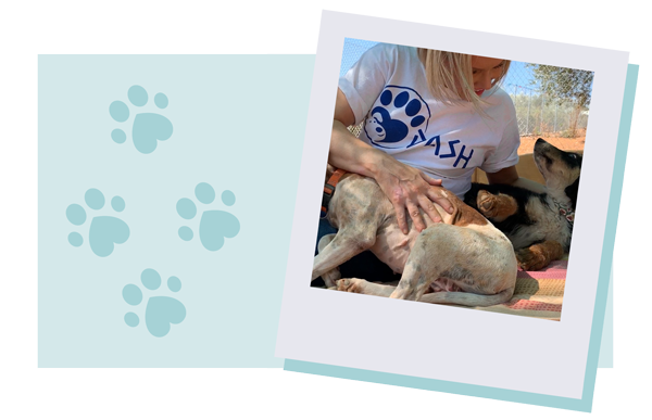 Beauty and the Boutique