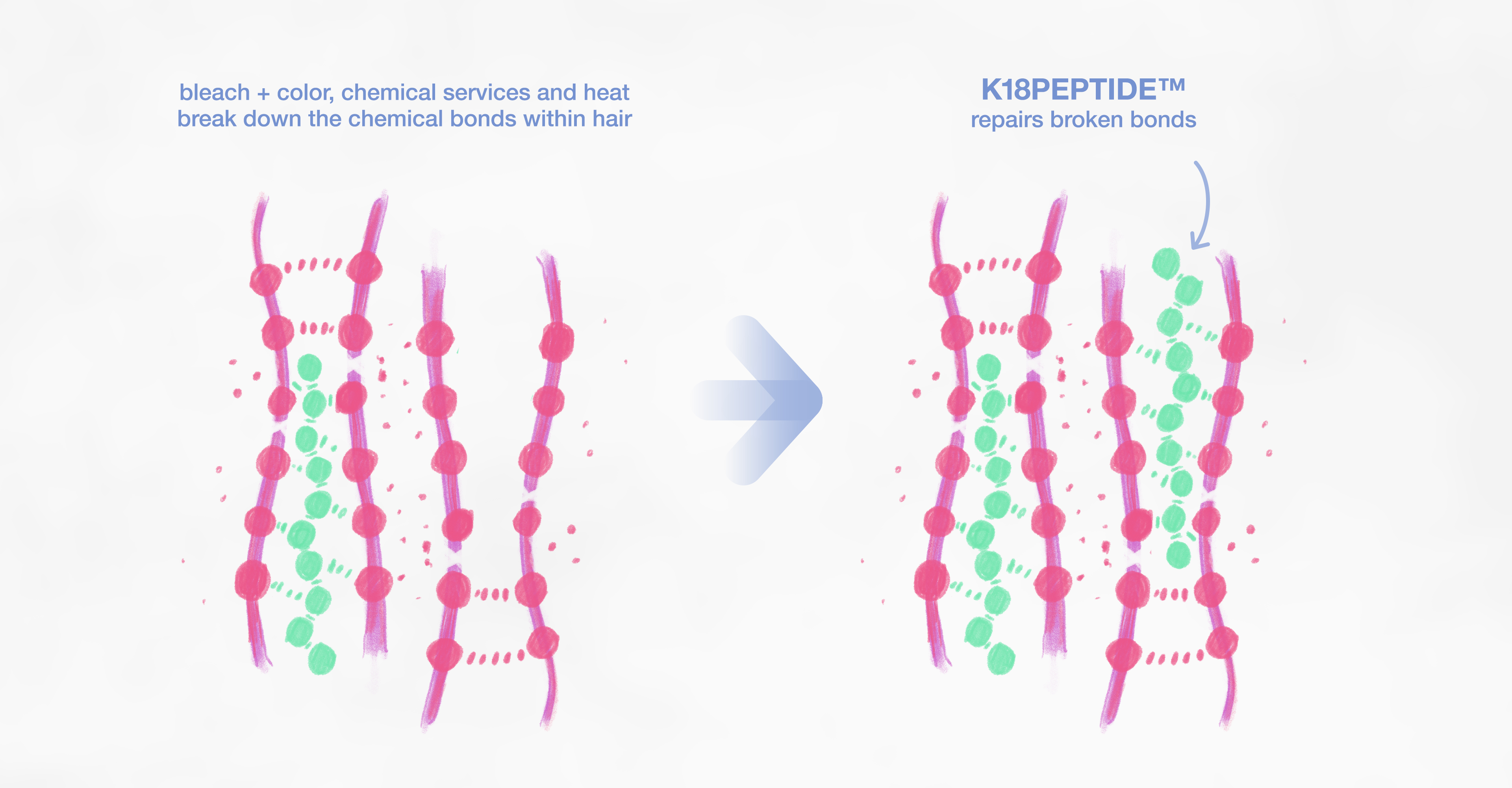 Image of how K18 PRO Mask works in the hair