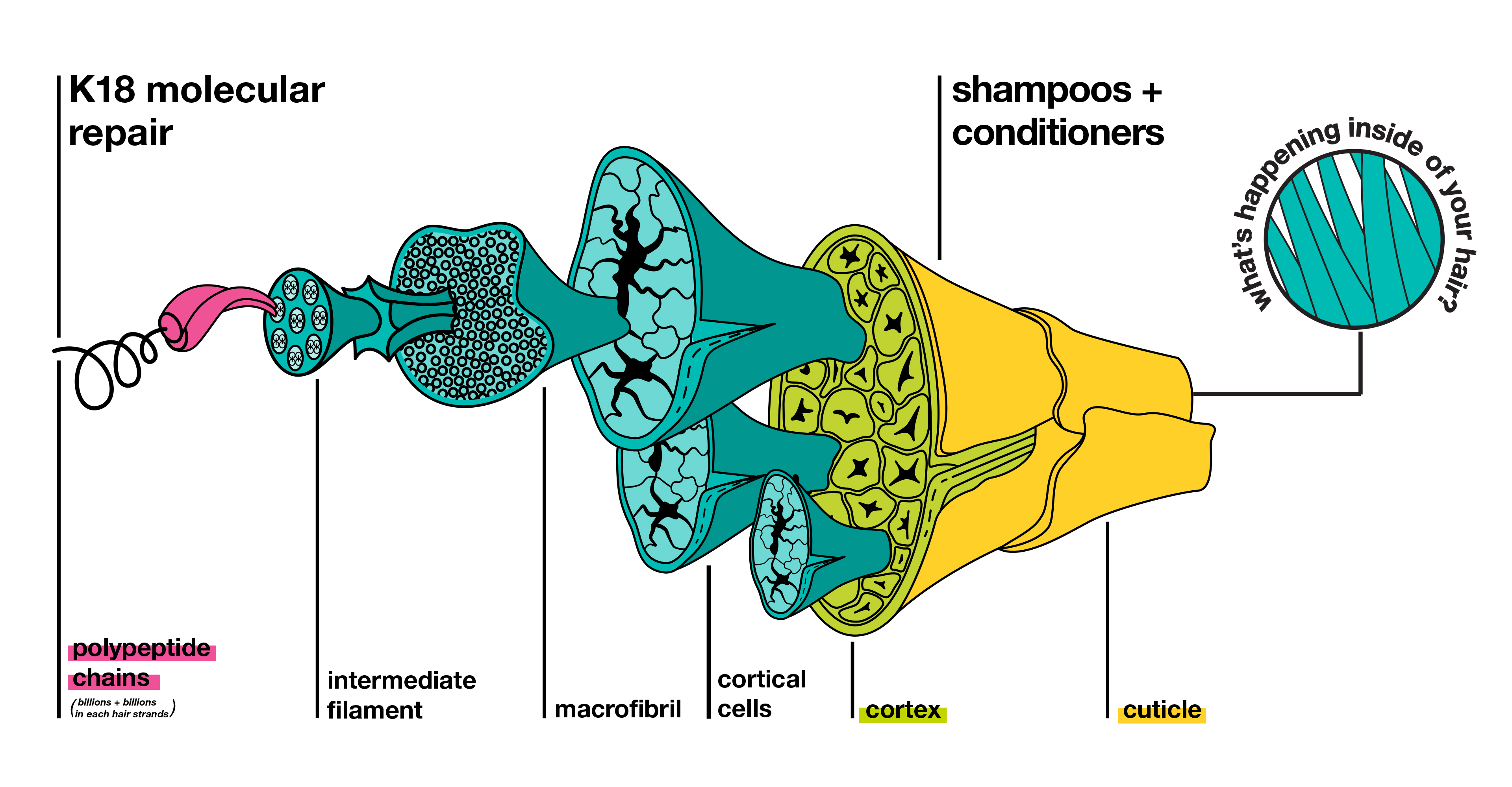 Why You Should Ask Your Stylist for K18REPAIR™