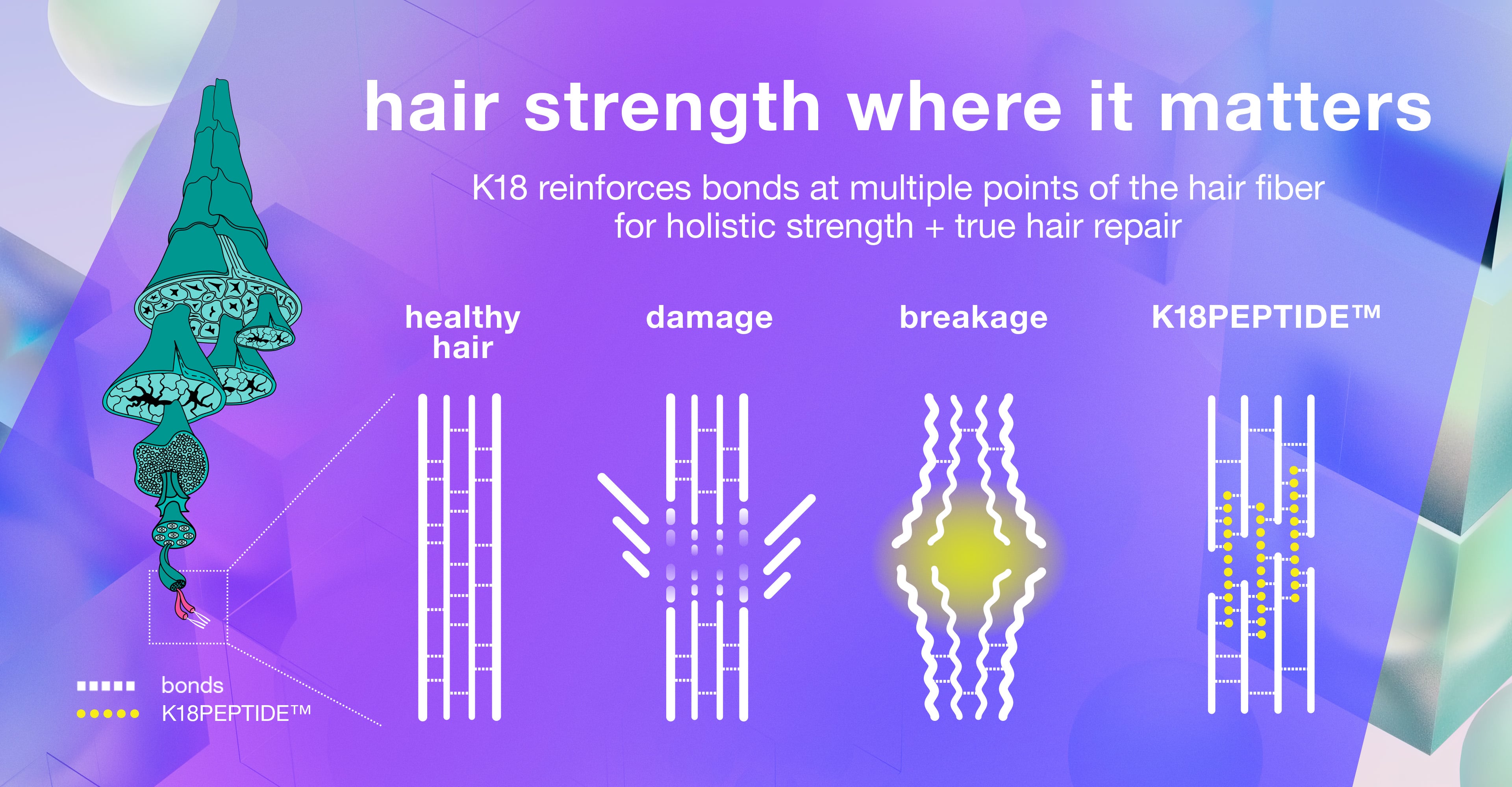 Why You Should Ask Your Stylist for K18REPAIR™