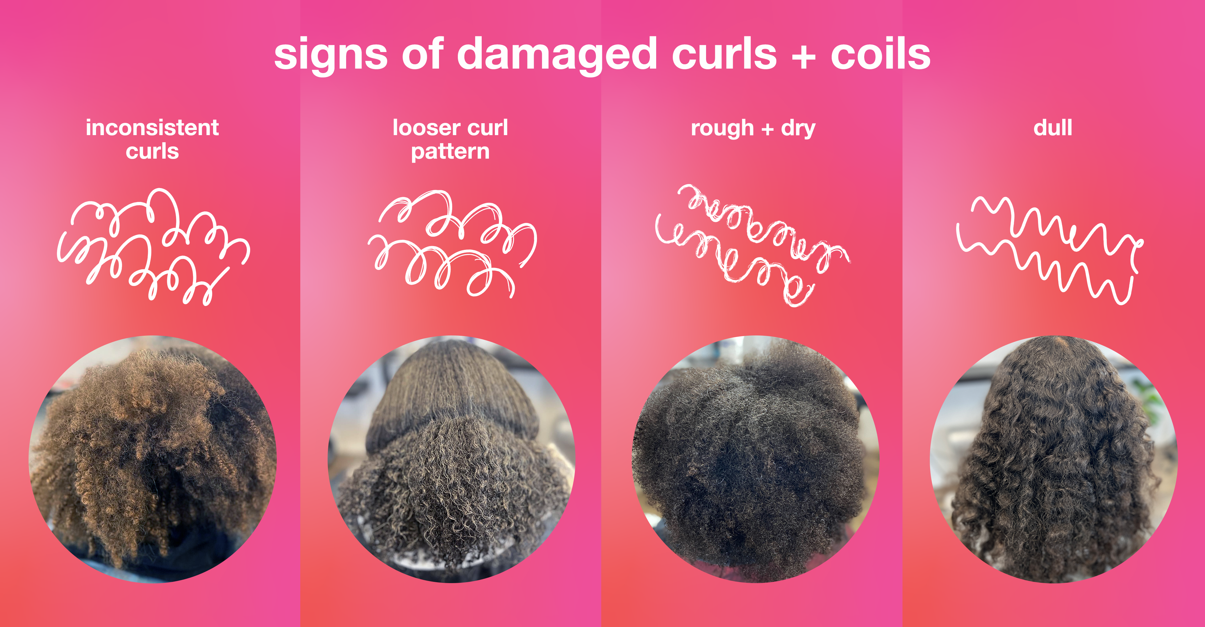 Your Curly + Coily Hair Crash Course