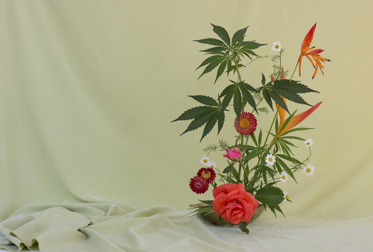 Seeking Arrangement by Anja Charbonneau. Floral Design by Amy Merrick
