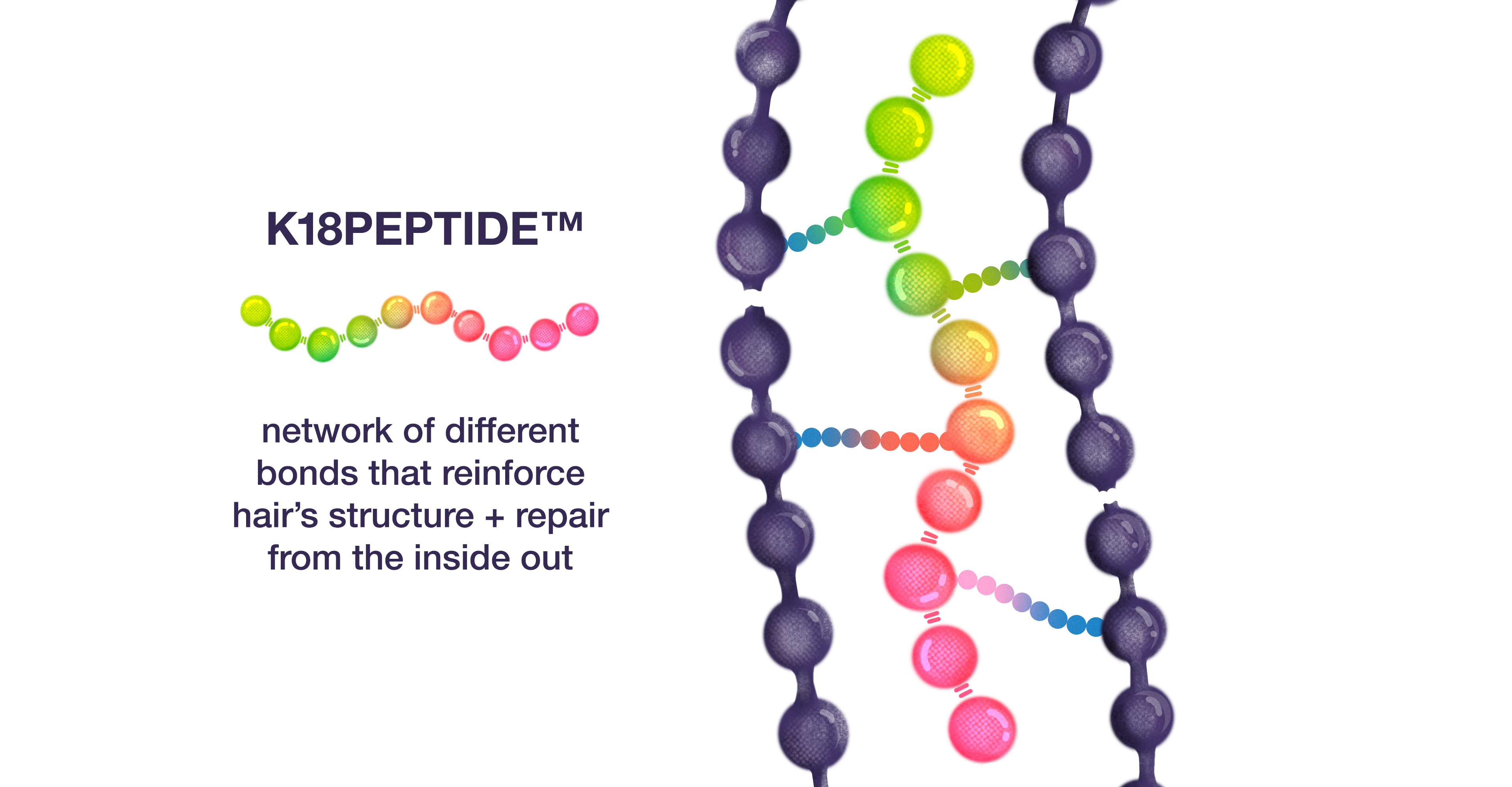 The Discovery Of K18PEPTIDE™ Powering K18REPAIR™