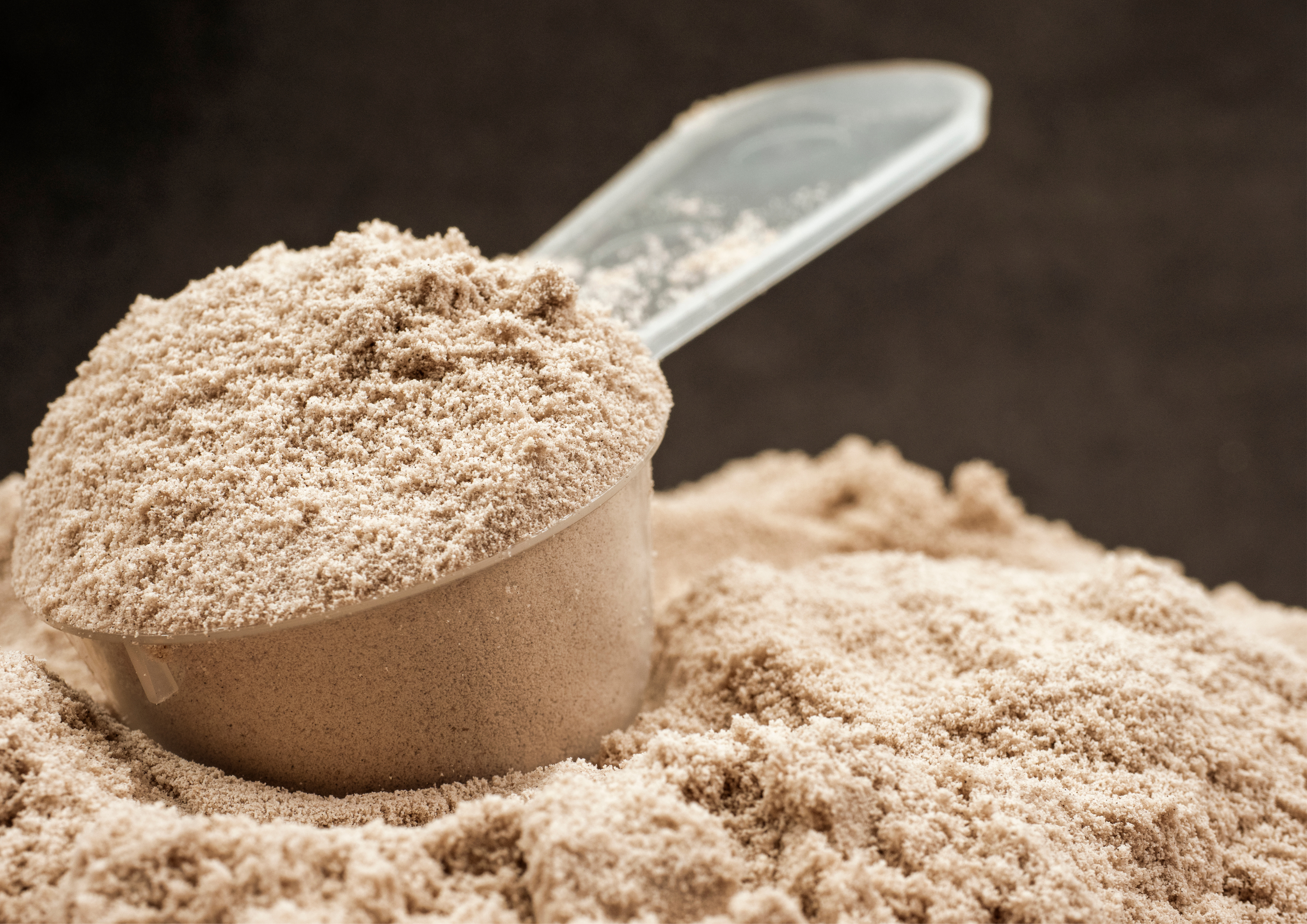 PLANT-BASED PROTEIN POWDER FOR SMOOTHIES