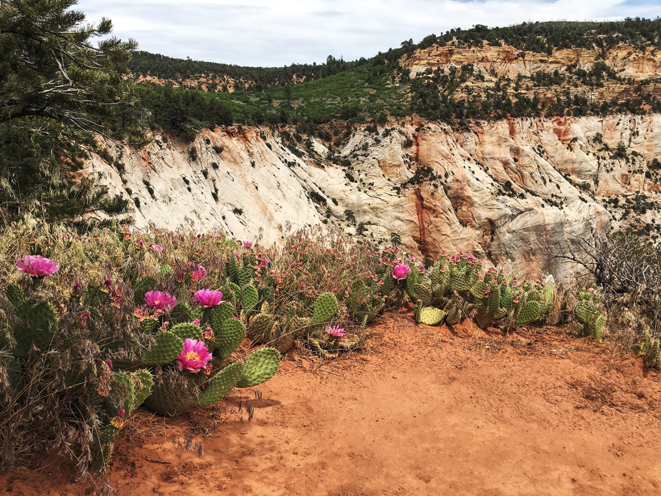 Scenic photograph of Utah