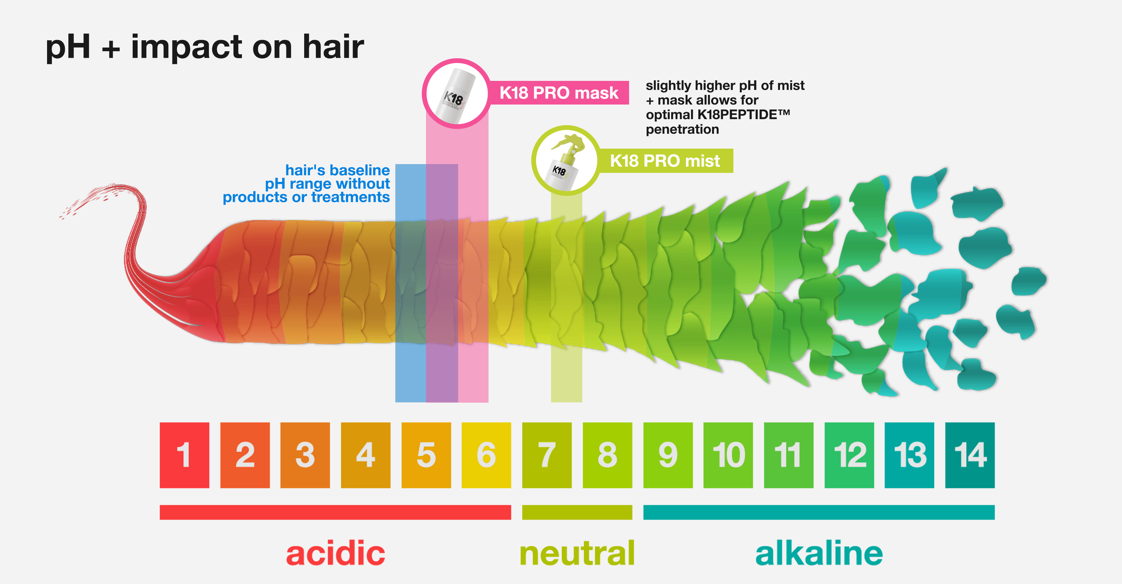 everything you need to know about pH + hair