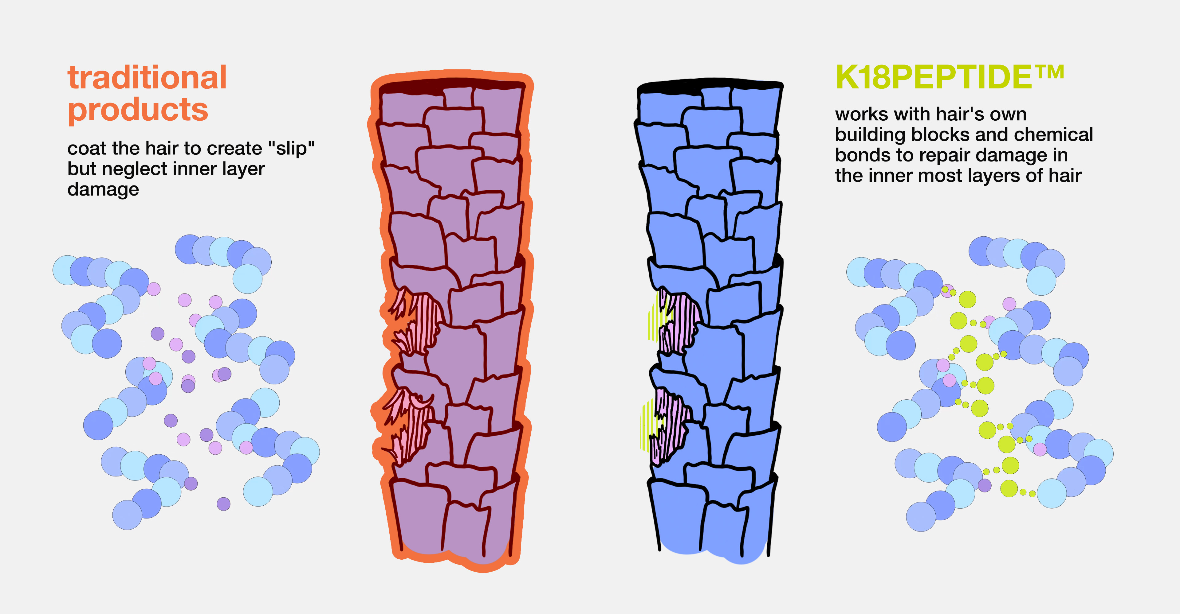 Tu cabello es una obra maestra biológica y tan fuerte como el acero.