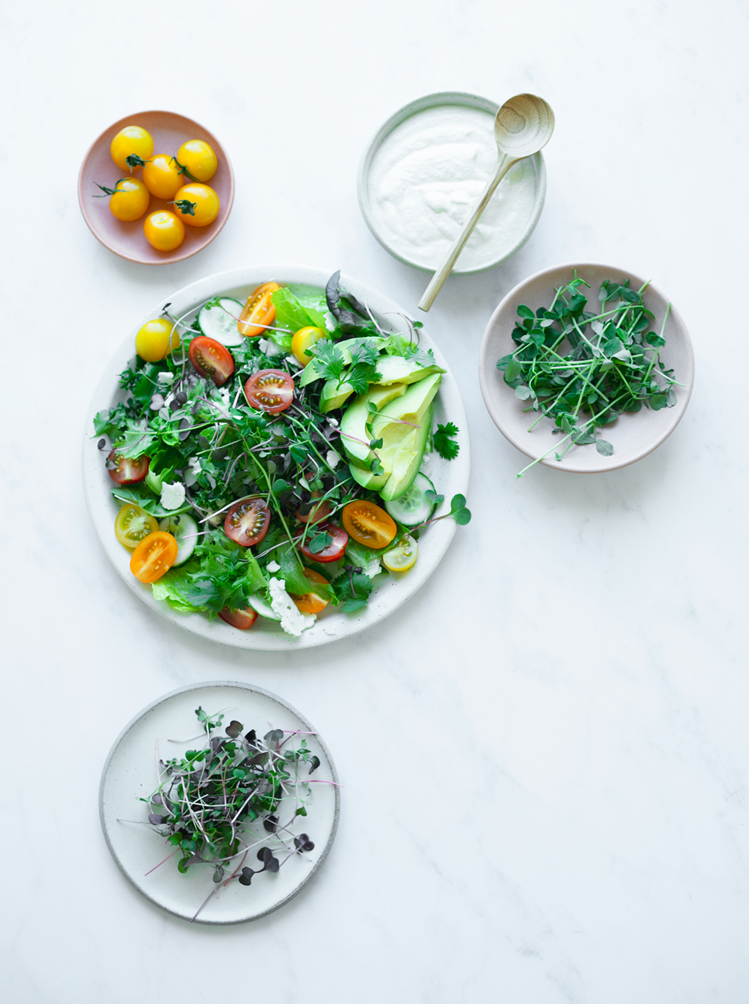 A plate of Rainbow Salad with cherry tomatoes creamy dressing and herbs on the side.