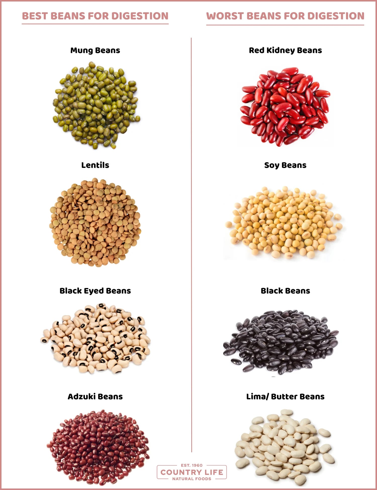 THE EASIEST BEANS TO DIGEST