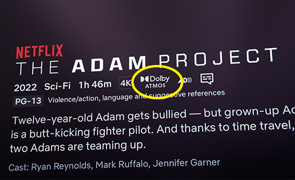 Netflix interface with Dolby Atmos logo circled screengrab