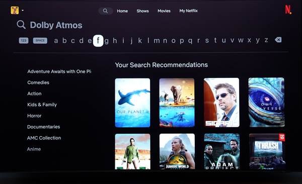 Netflix interface search screengrab