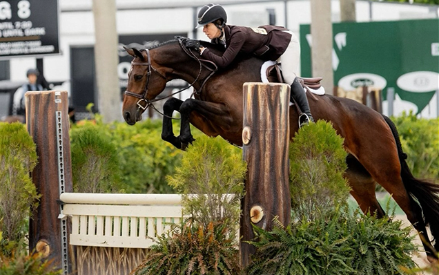 Irene brought her horses, of course.